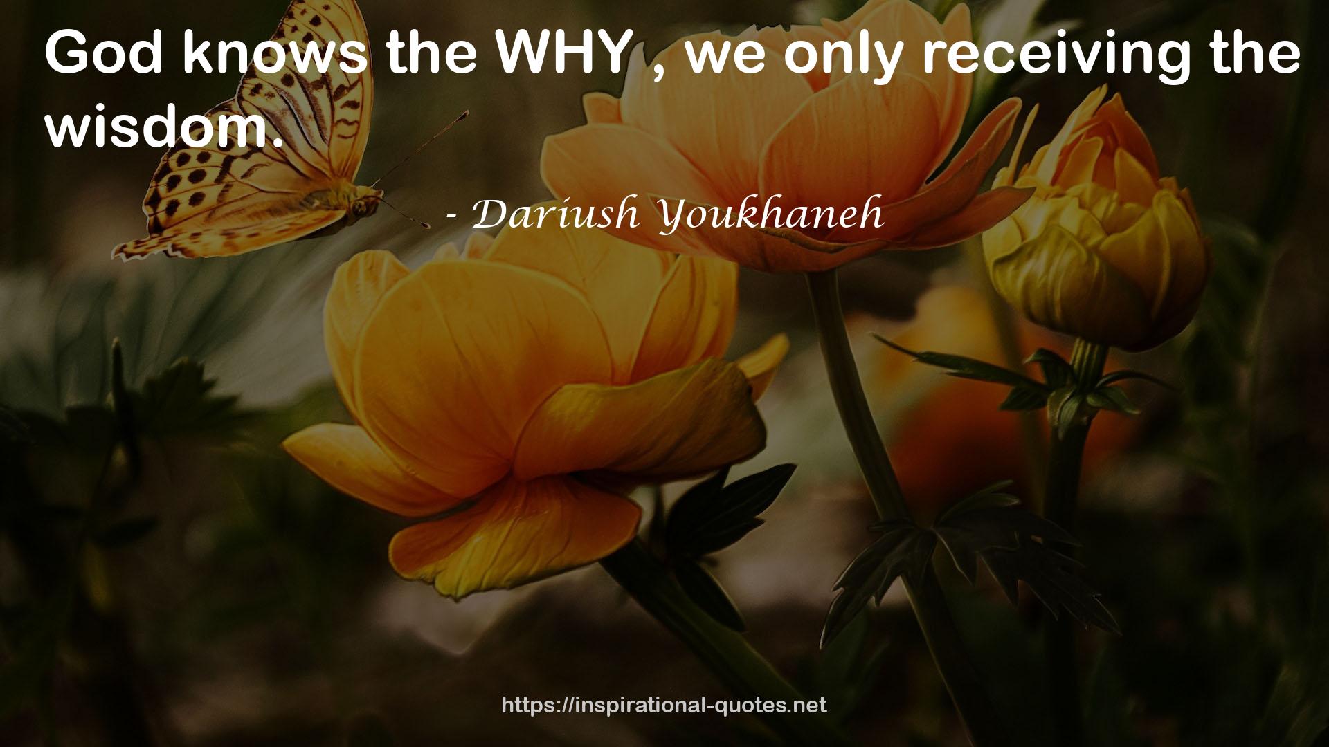 the WHY  QUOTES