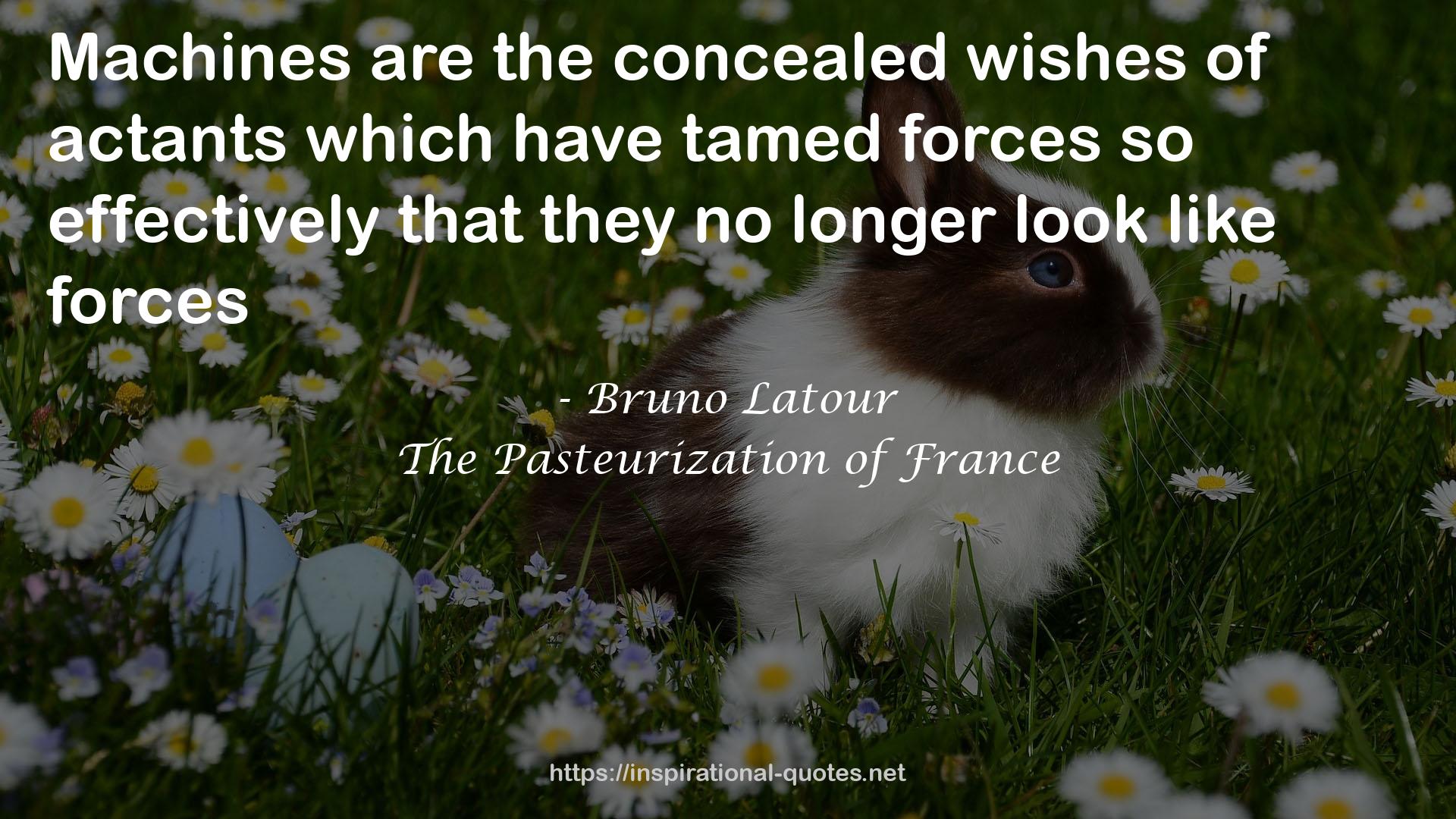 The Pasteurization of France QUOTES