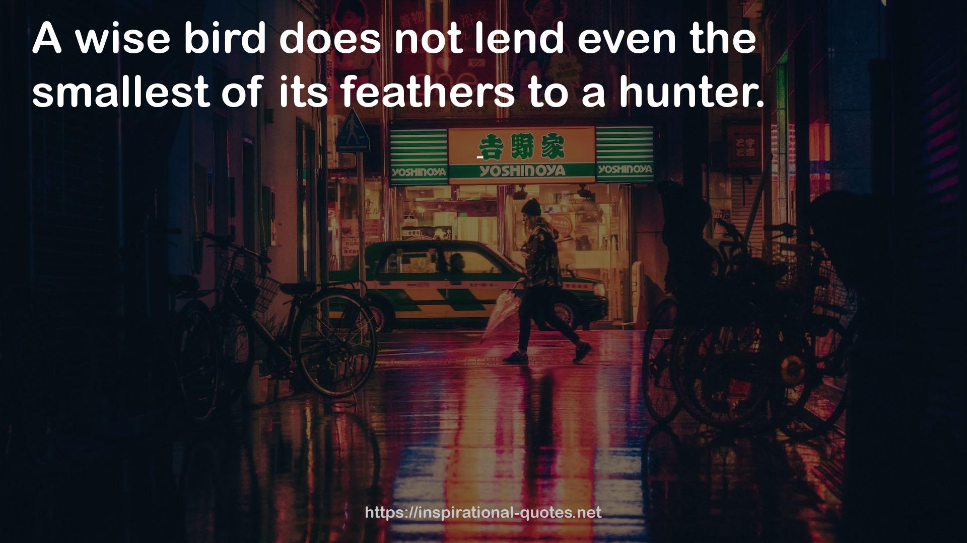 its feathers  QUOTES