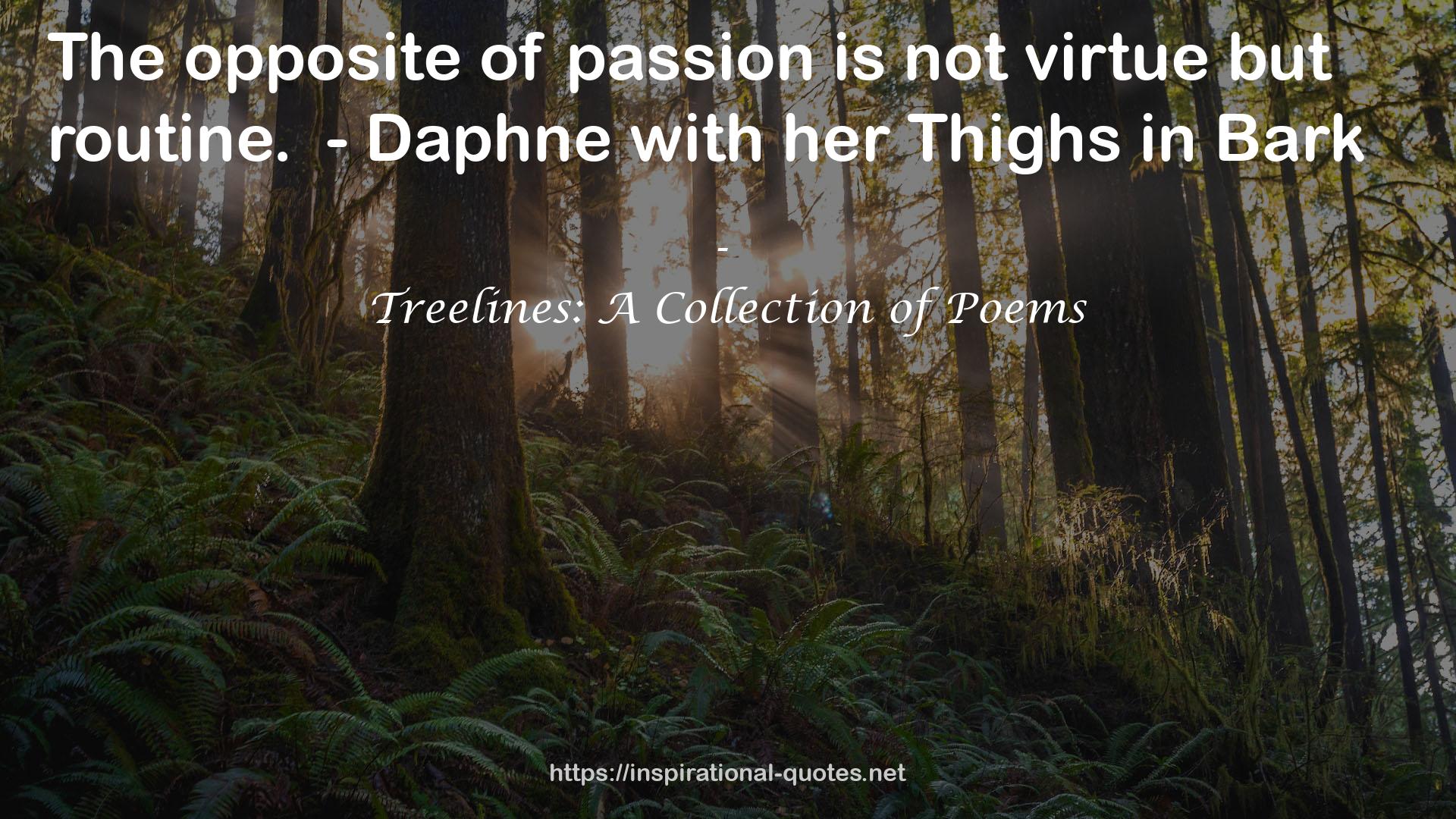 Treelines: A Collection of Poems QUOTES