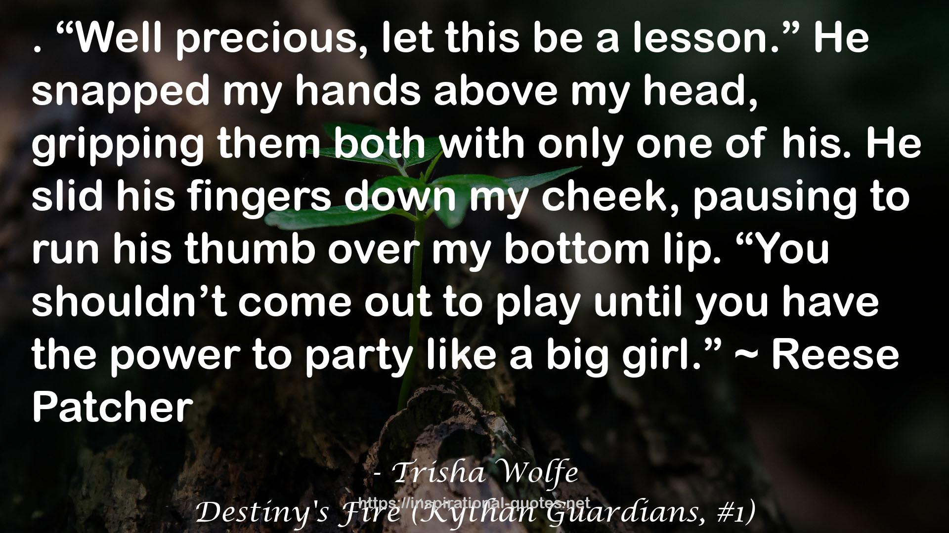 Destiny's Fire (Kythan Guardians, #1) QUOTES