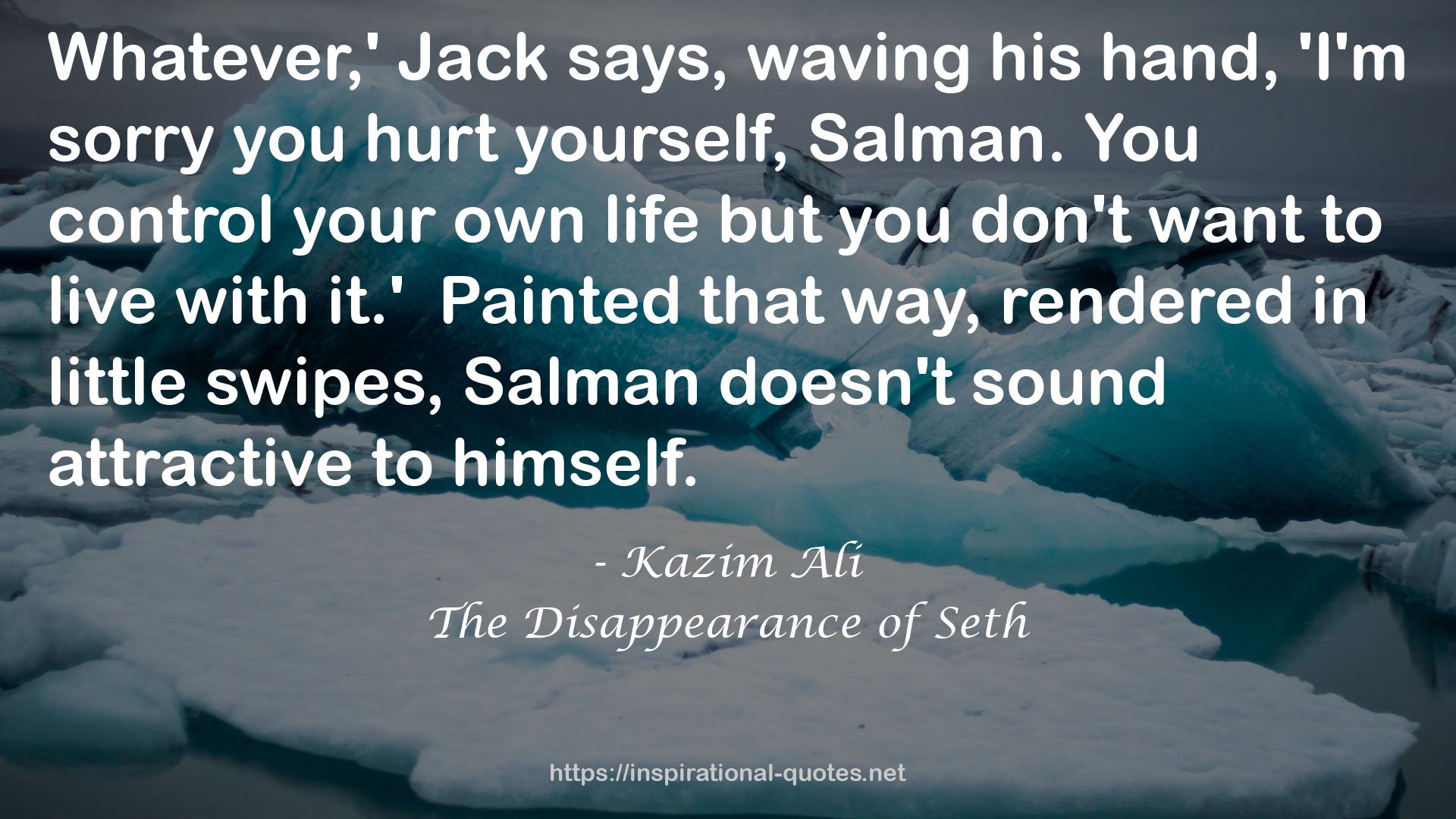 The Disappearance of Seth QUOTES