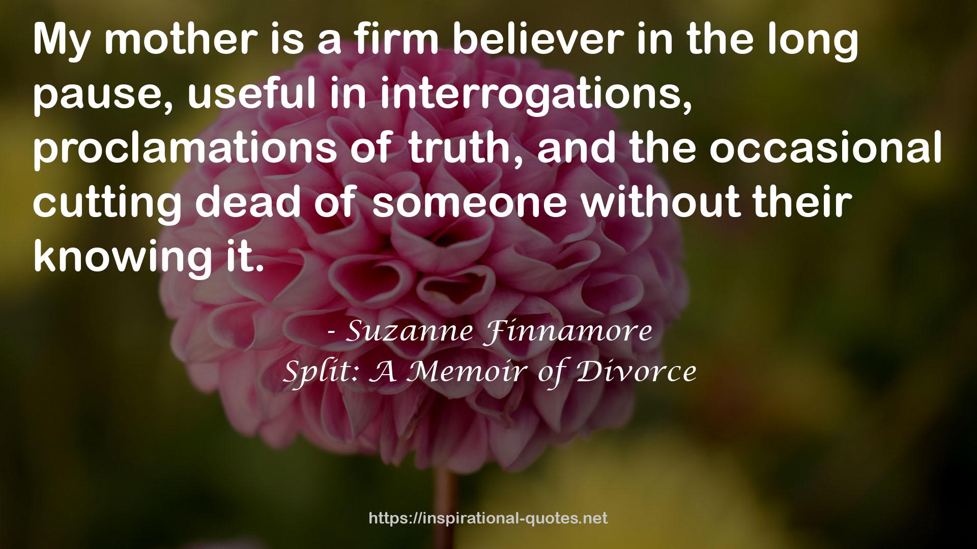 Suzanne Finnamore QUOTES