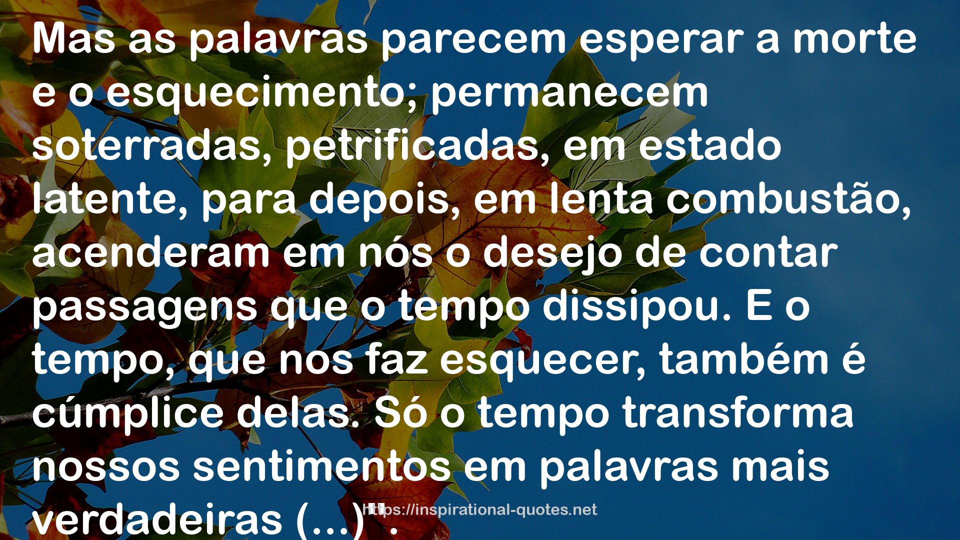 Dois Irmãos QUOTES