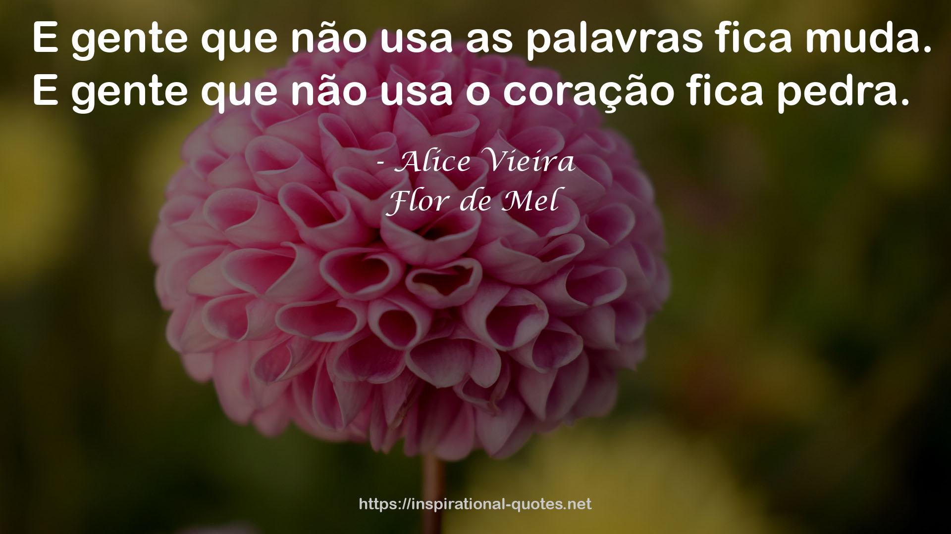 Flor de Mel QUOTES