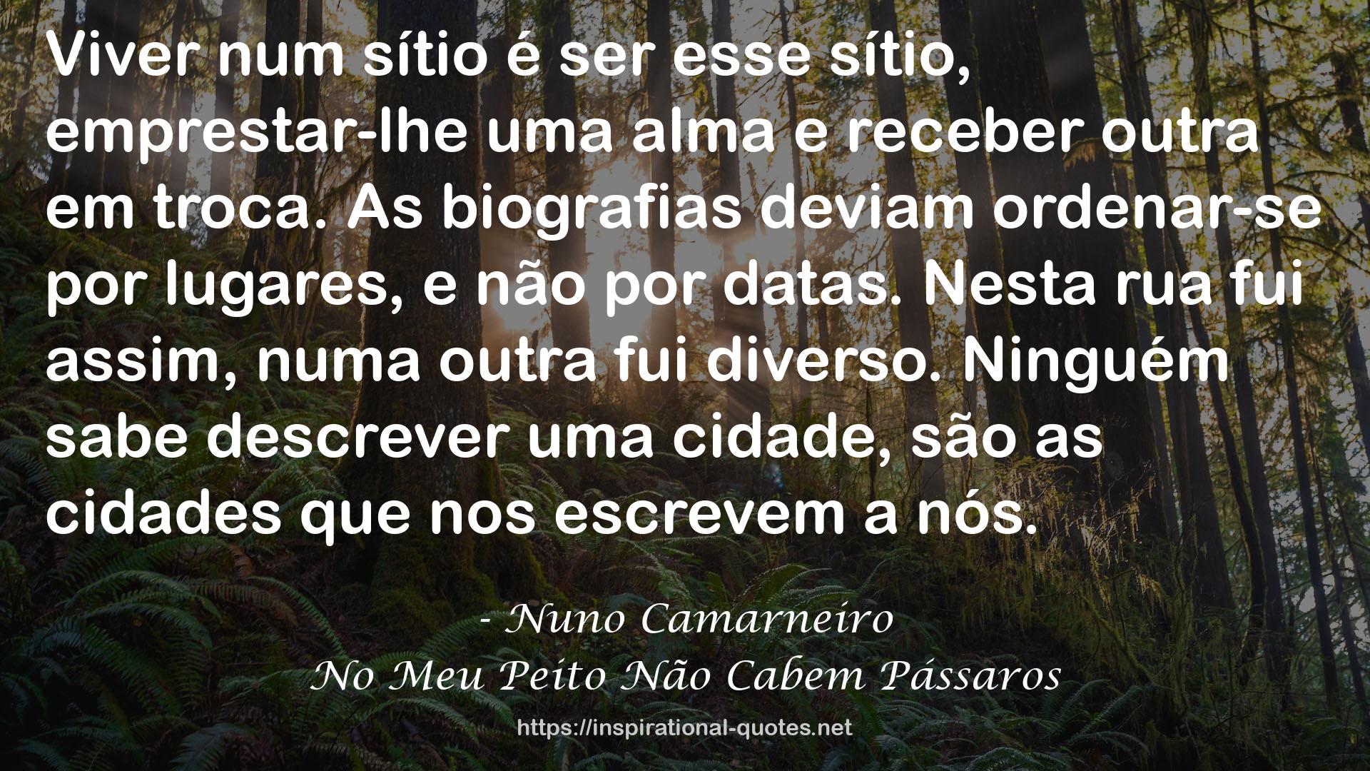 Nuno Camarneiro QUOTES