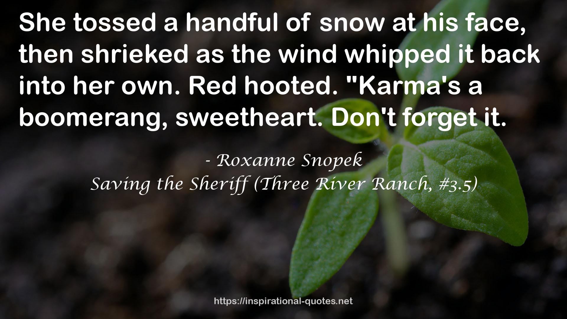 Roxanne Snopek QUOTES