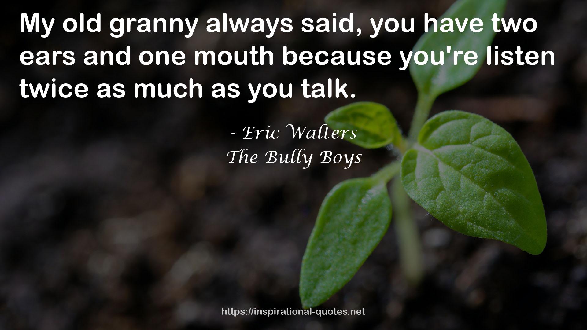 The Bully Boys QUOTES