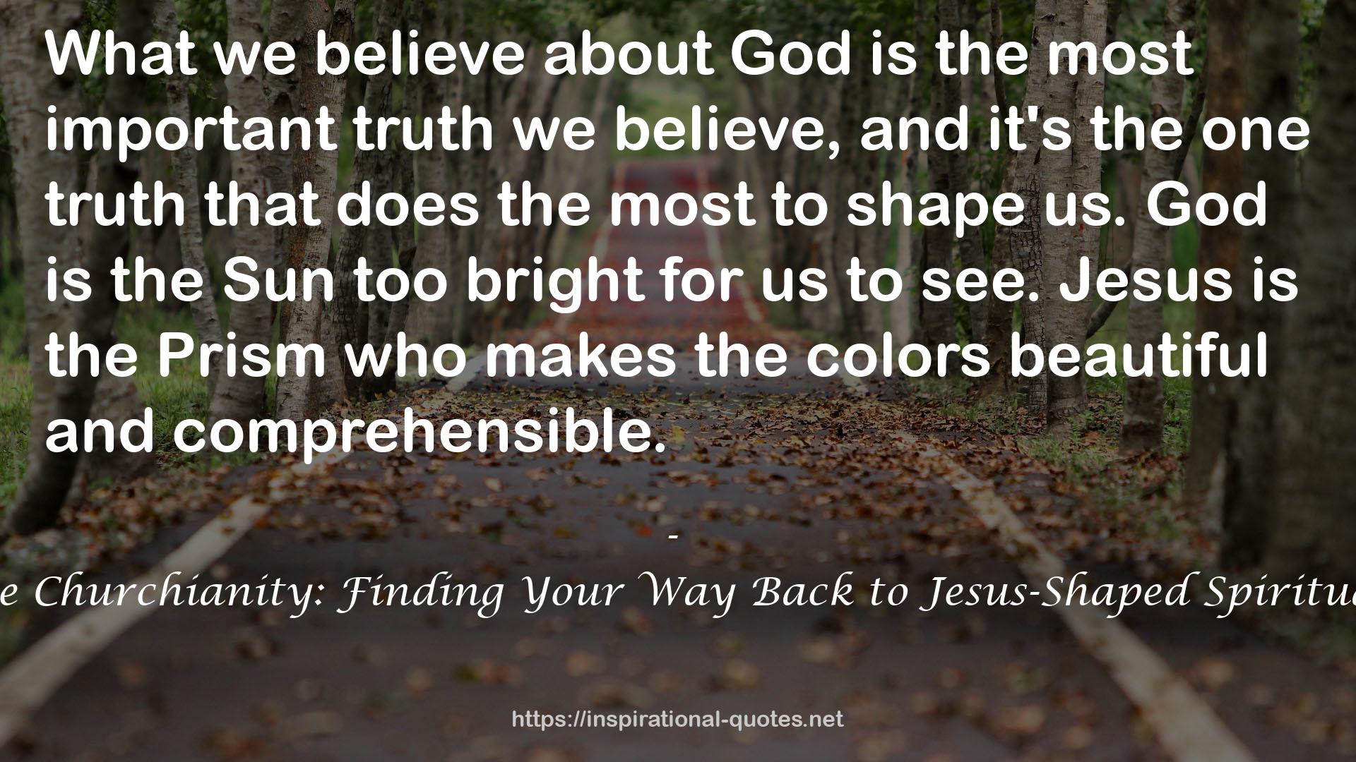 Mere Churchianity: Finding Your Way Back to Jesus-Shaped Spirituality QUOTES