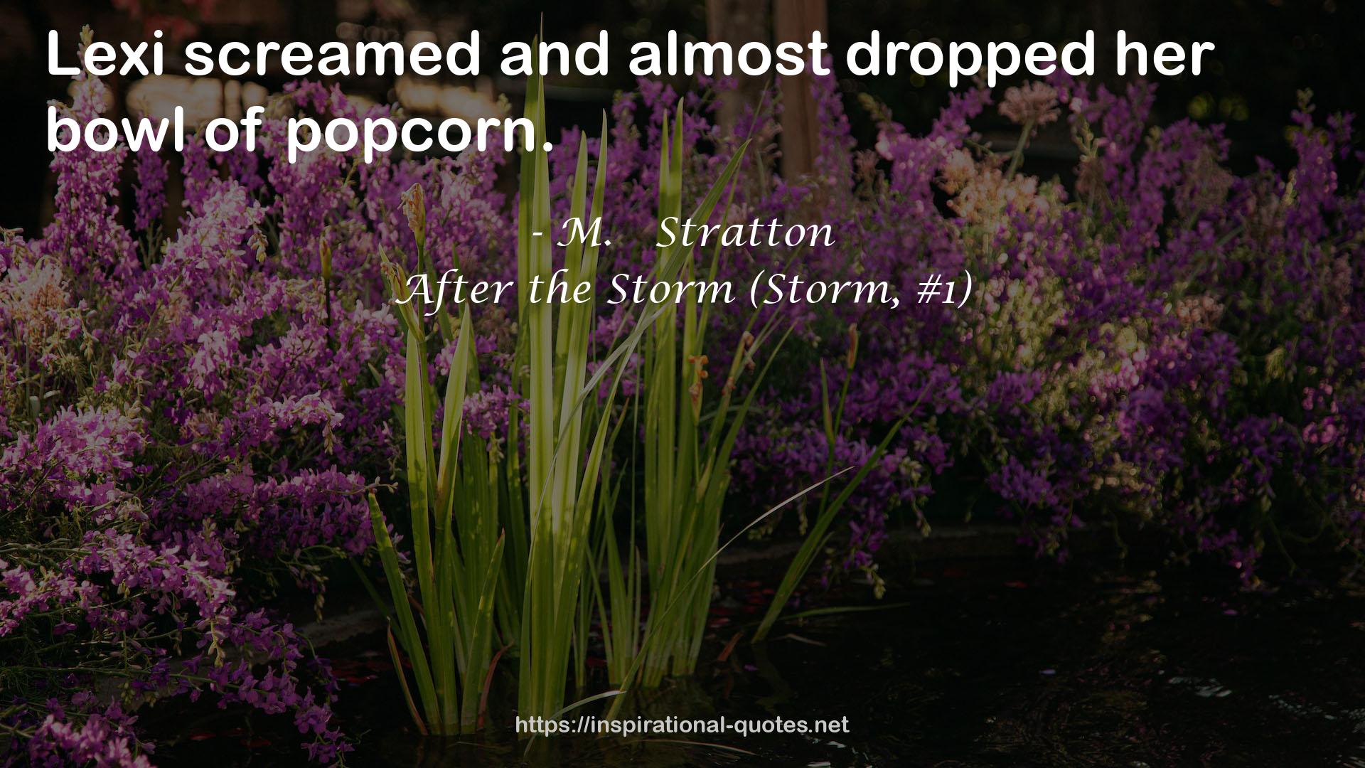 After the Storm (Storm, #1) QUOTES