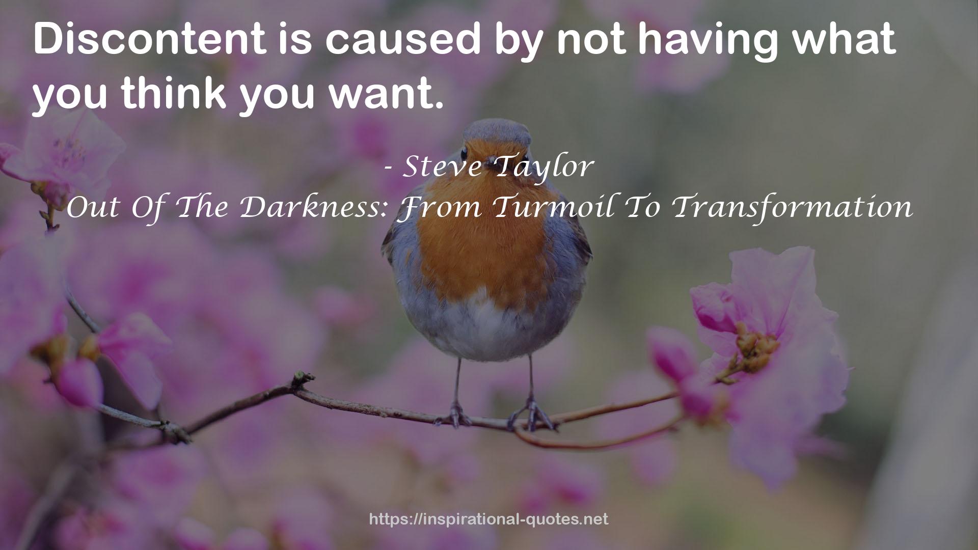Out Of The Darkness: From Turmoil To Transformation QUOTES