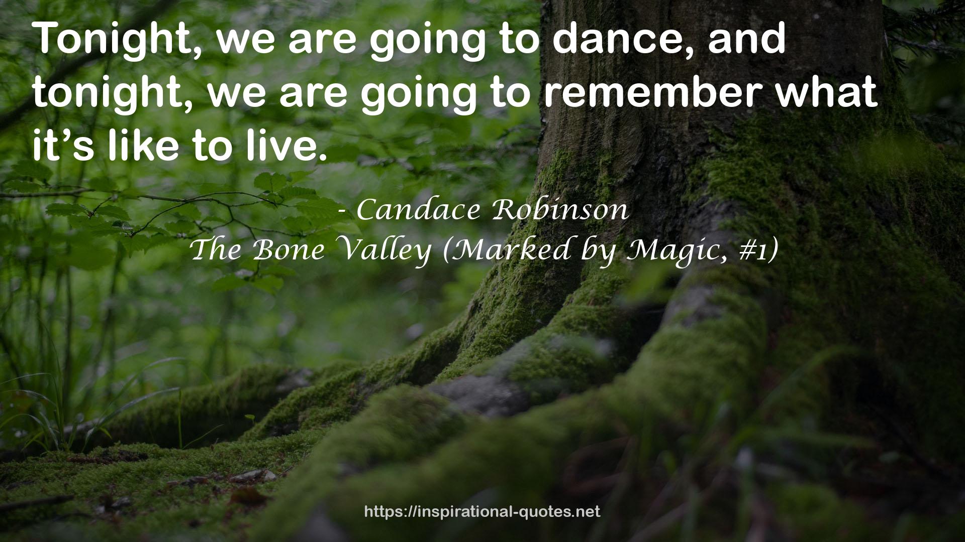 The Bone Valley (Marked by Magic, #1) QUOTES
