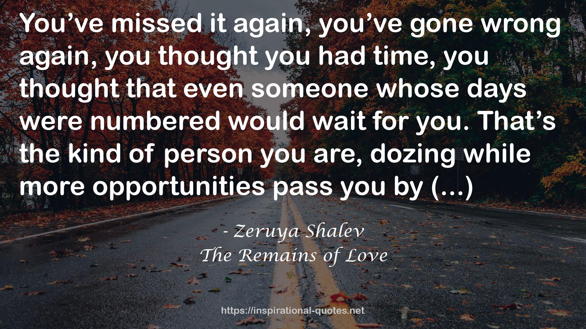 The Remains of Love QUOTES