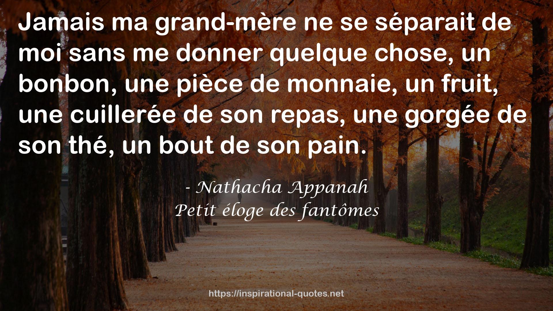 Petit éloge des fantômes QUOTES