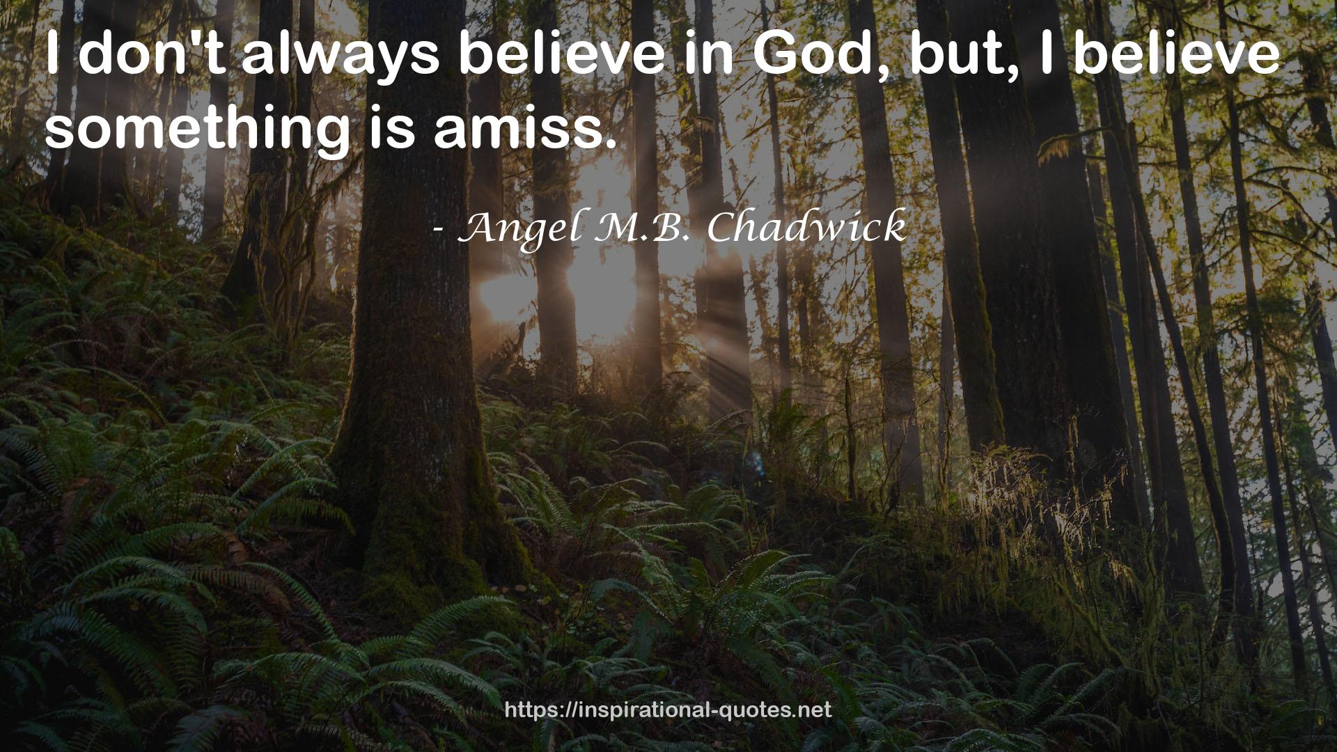 Angel M.B. Chadwick QUOTES