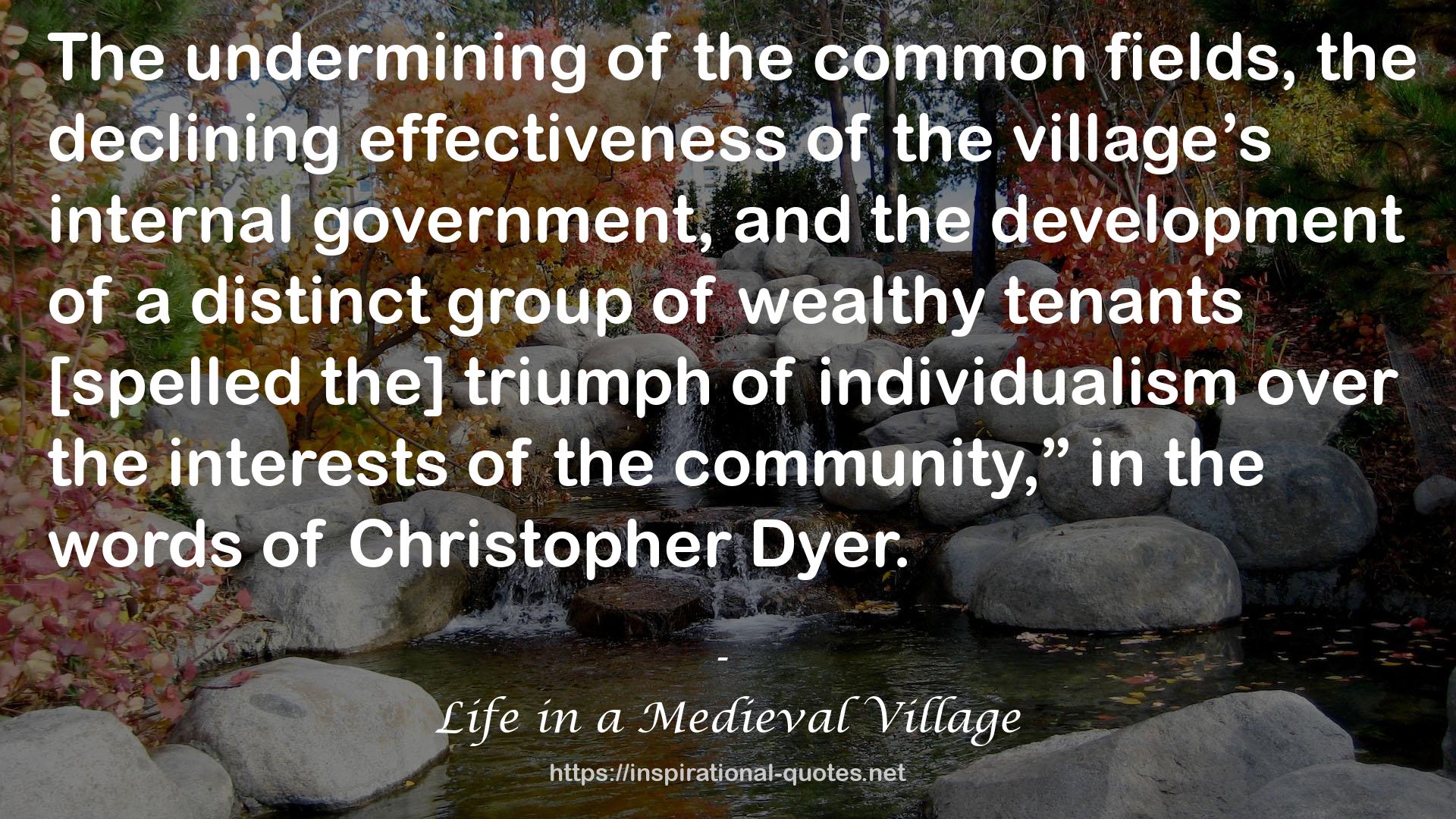 Life in a Medieval Village QUOTES