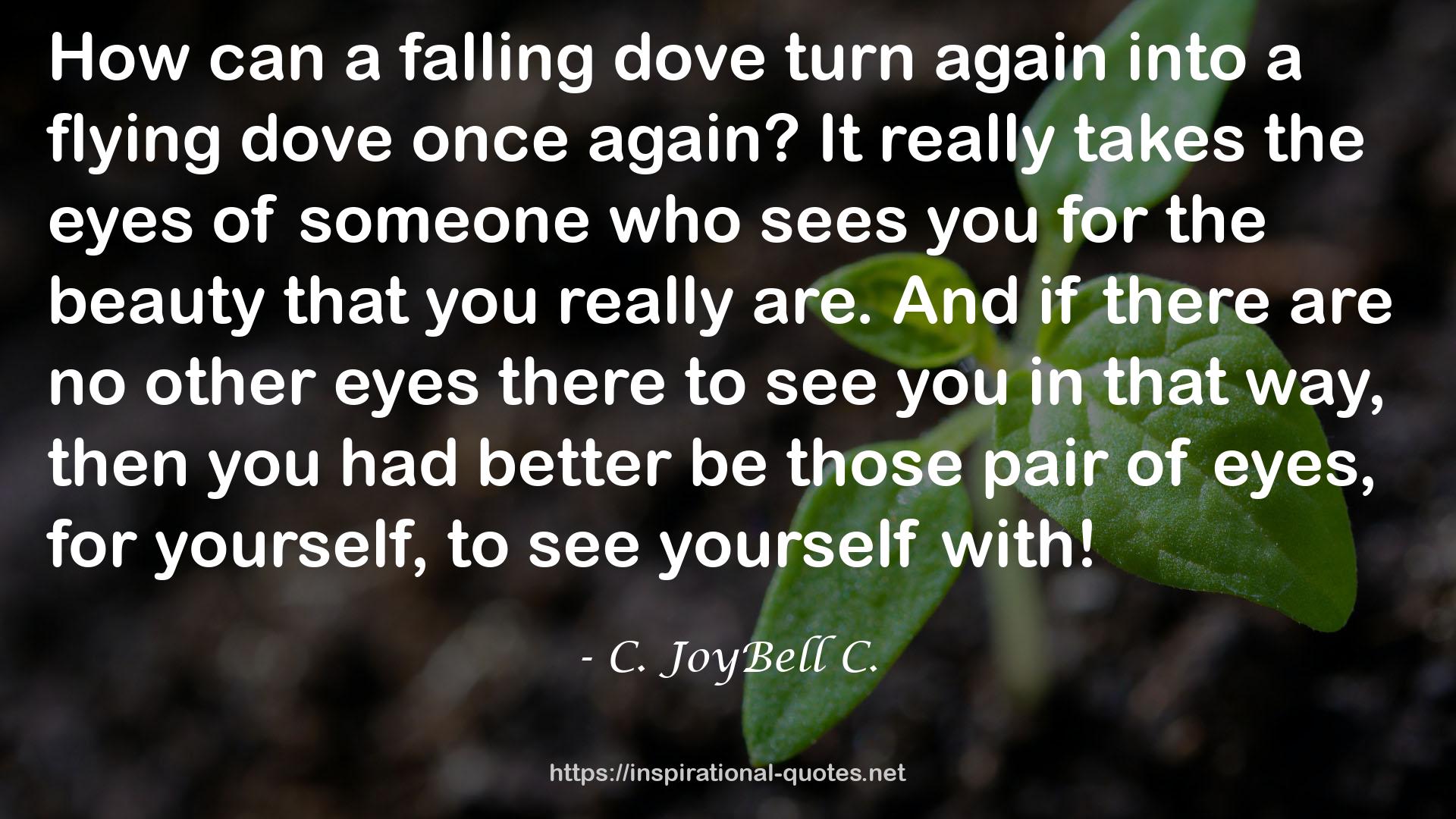 a falling dove  QUOTES