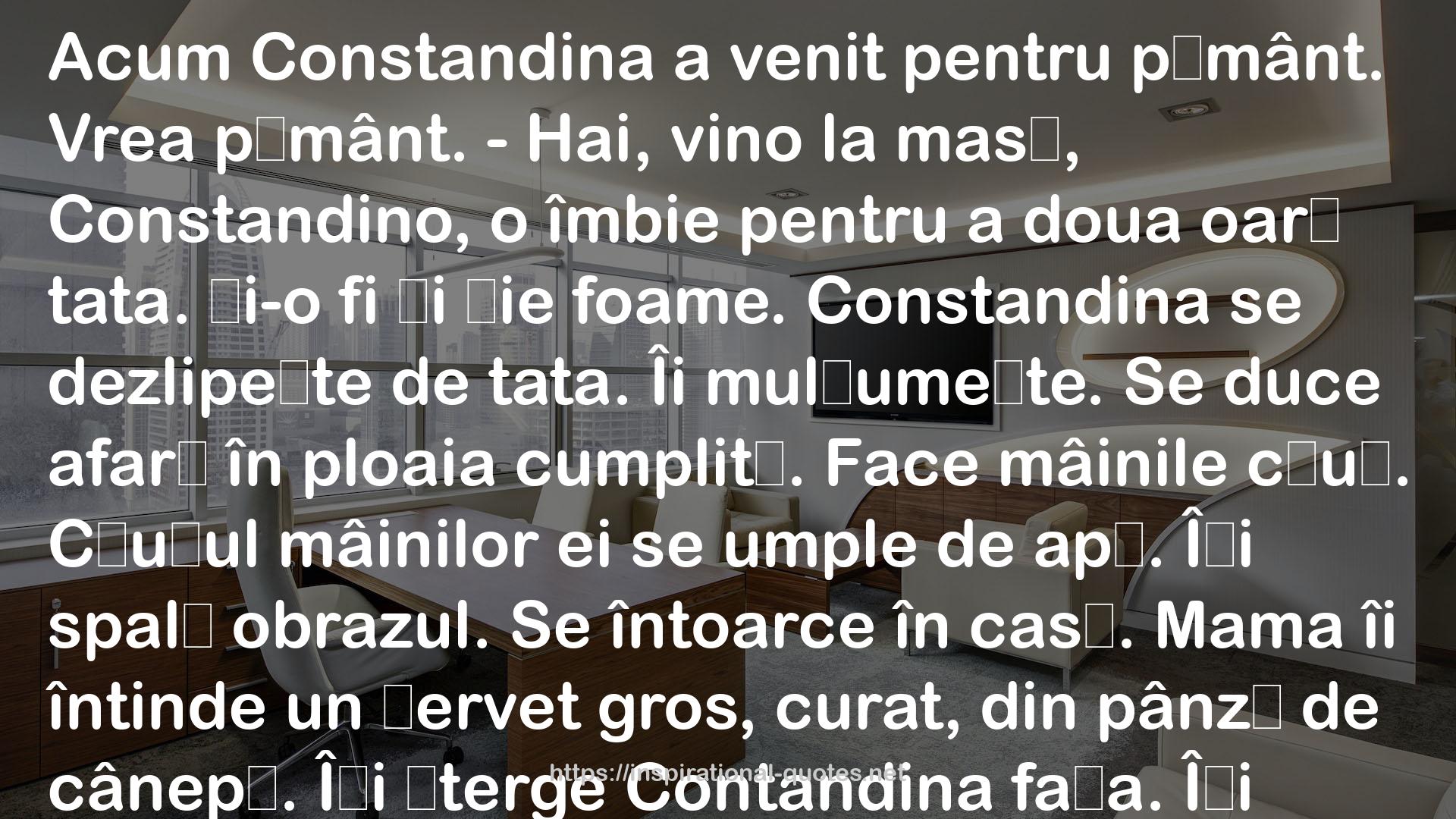 Costandina QUOTES