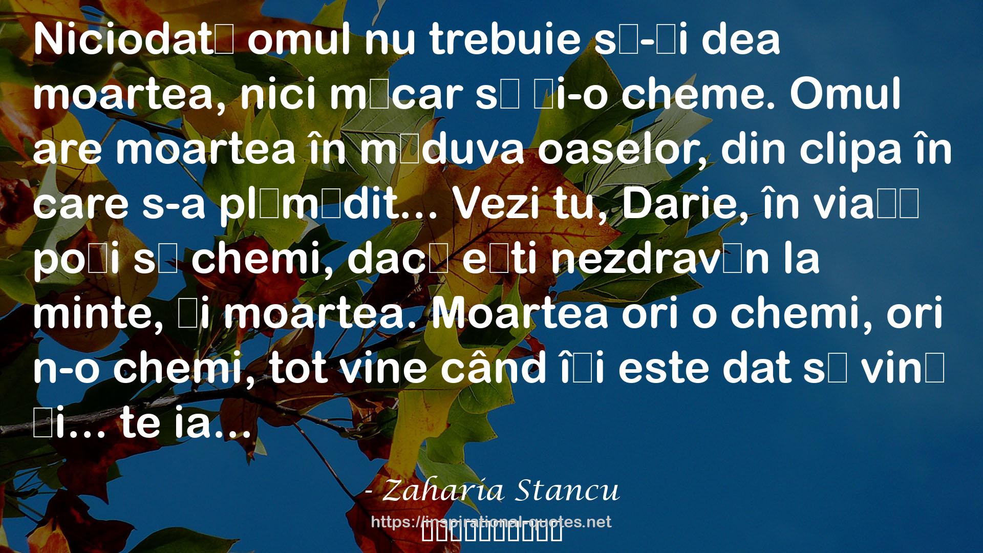 Zaharia Stancu QUOTES