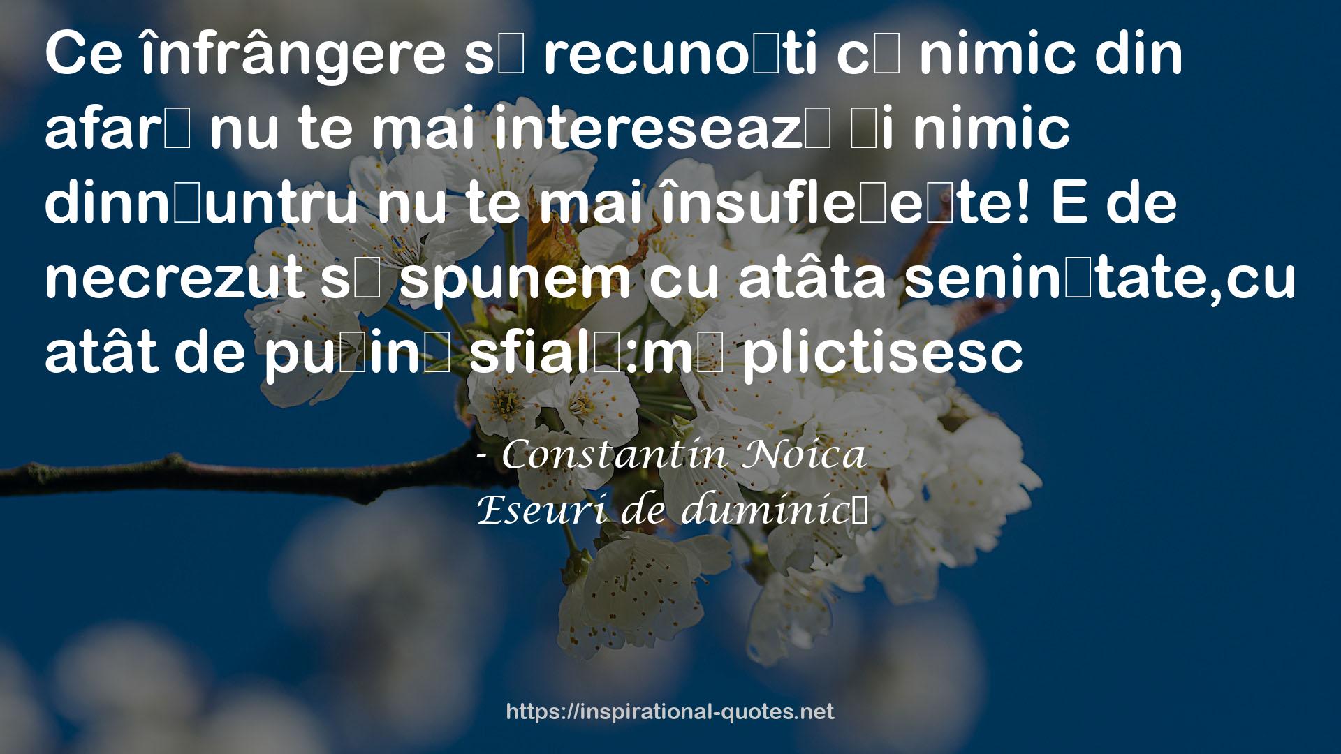 Eseuri de duminică QUOTES