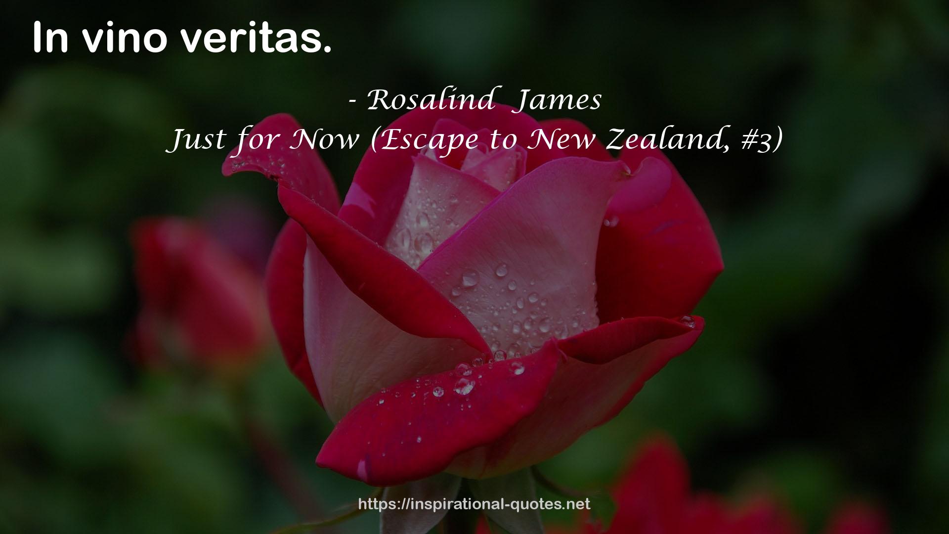 Just for Now (Escape to New Zealand, #3) QUOTES