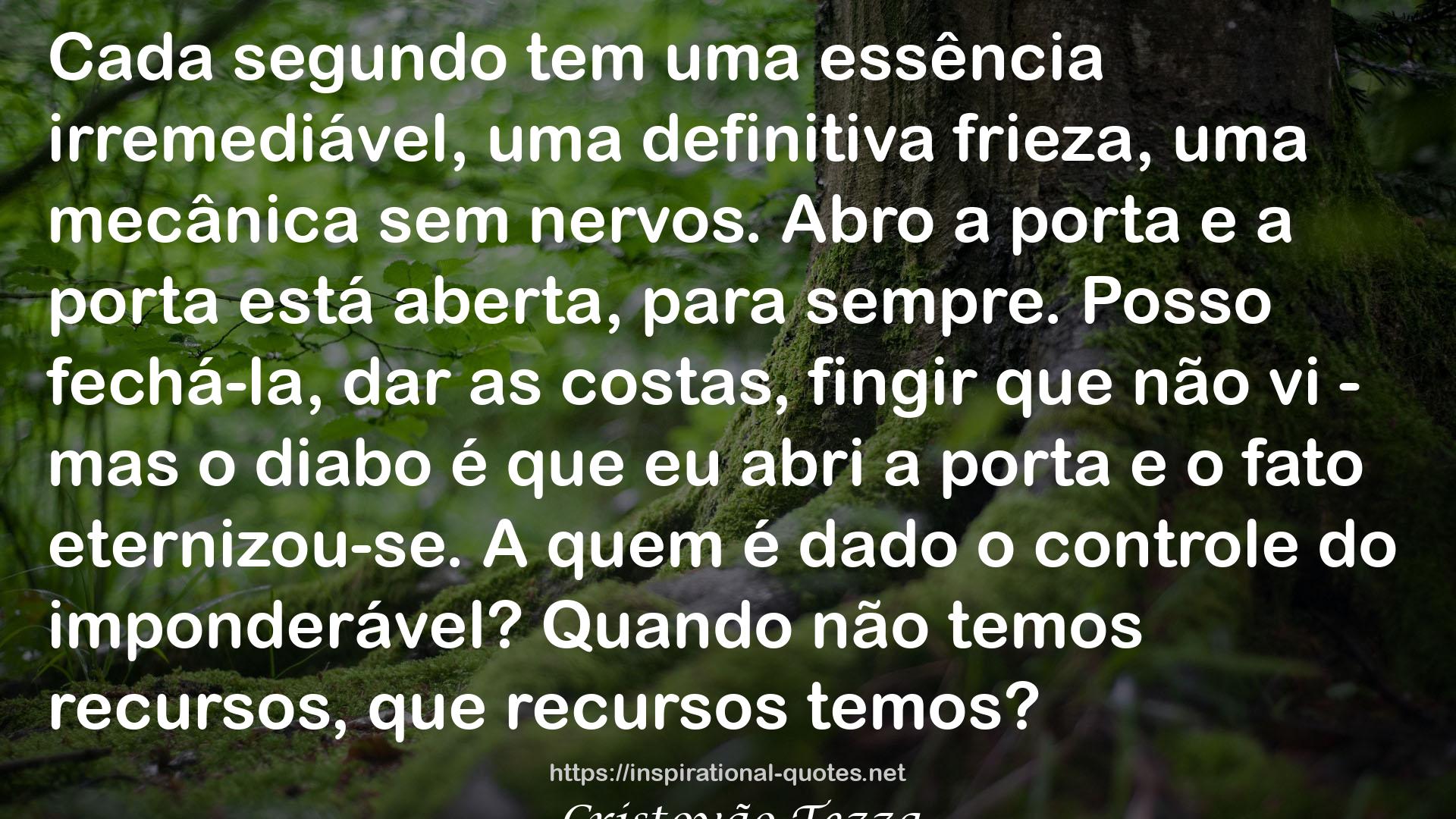 Aventuras provisórias QUOTES