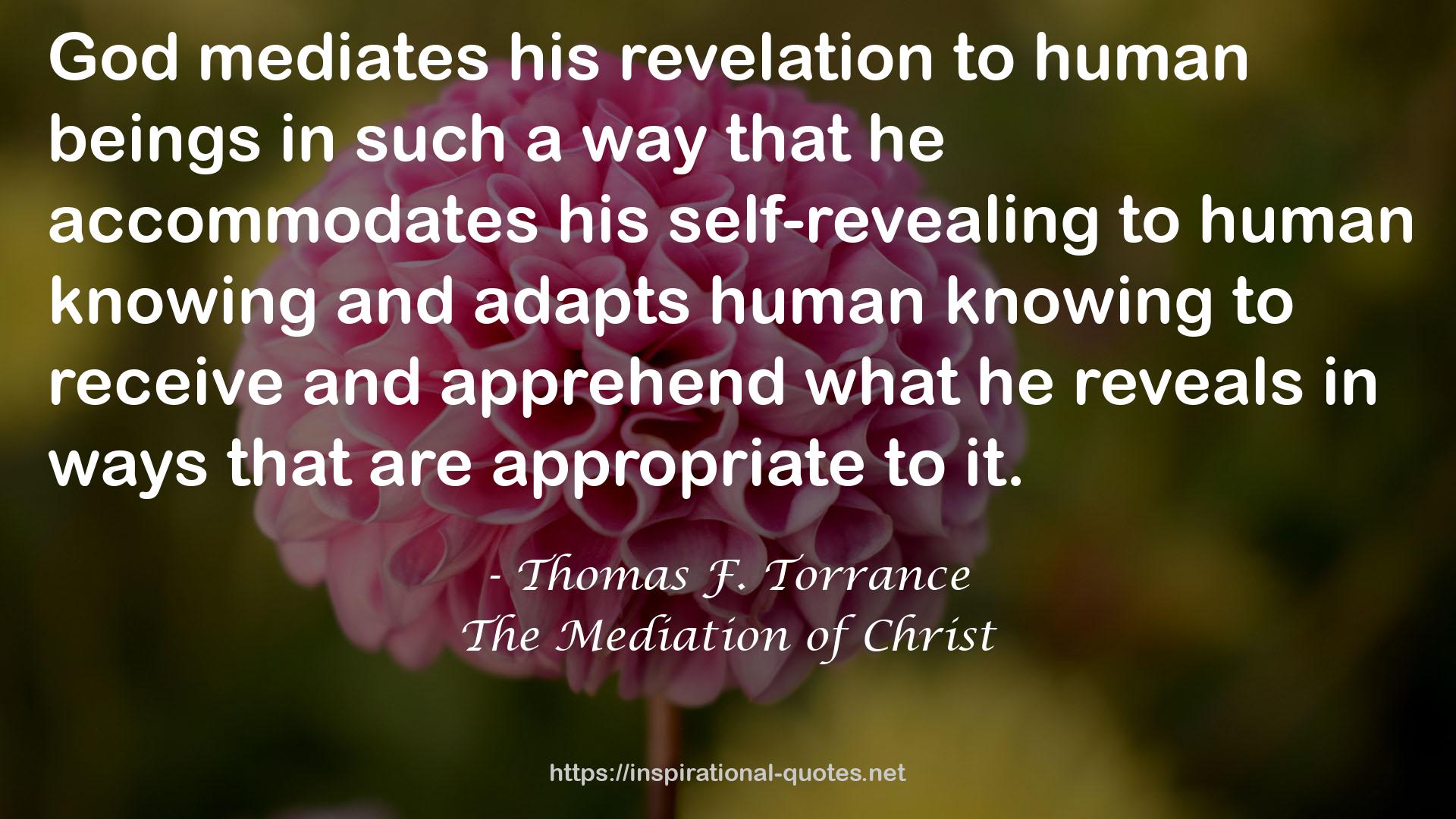 The Mediation of Christ QUOTES