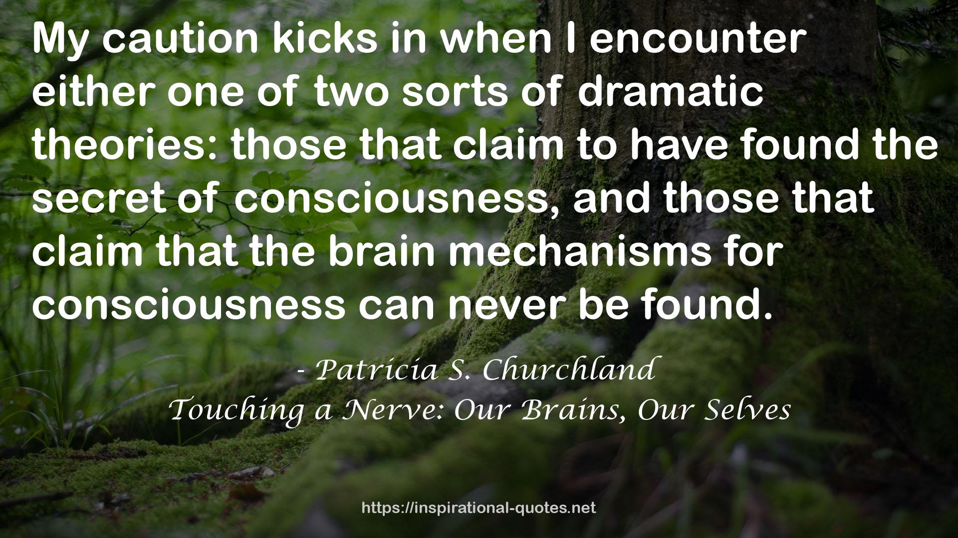 Touching a Nerve: Our Brains, Our Selves QUOTES