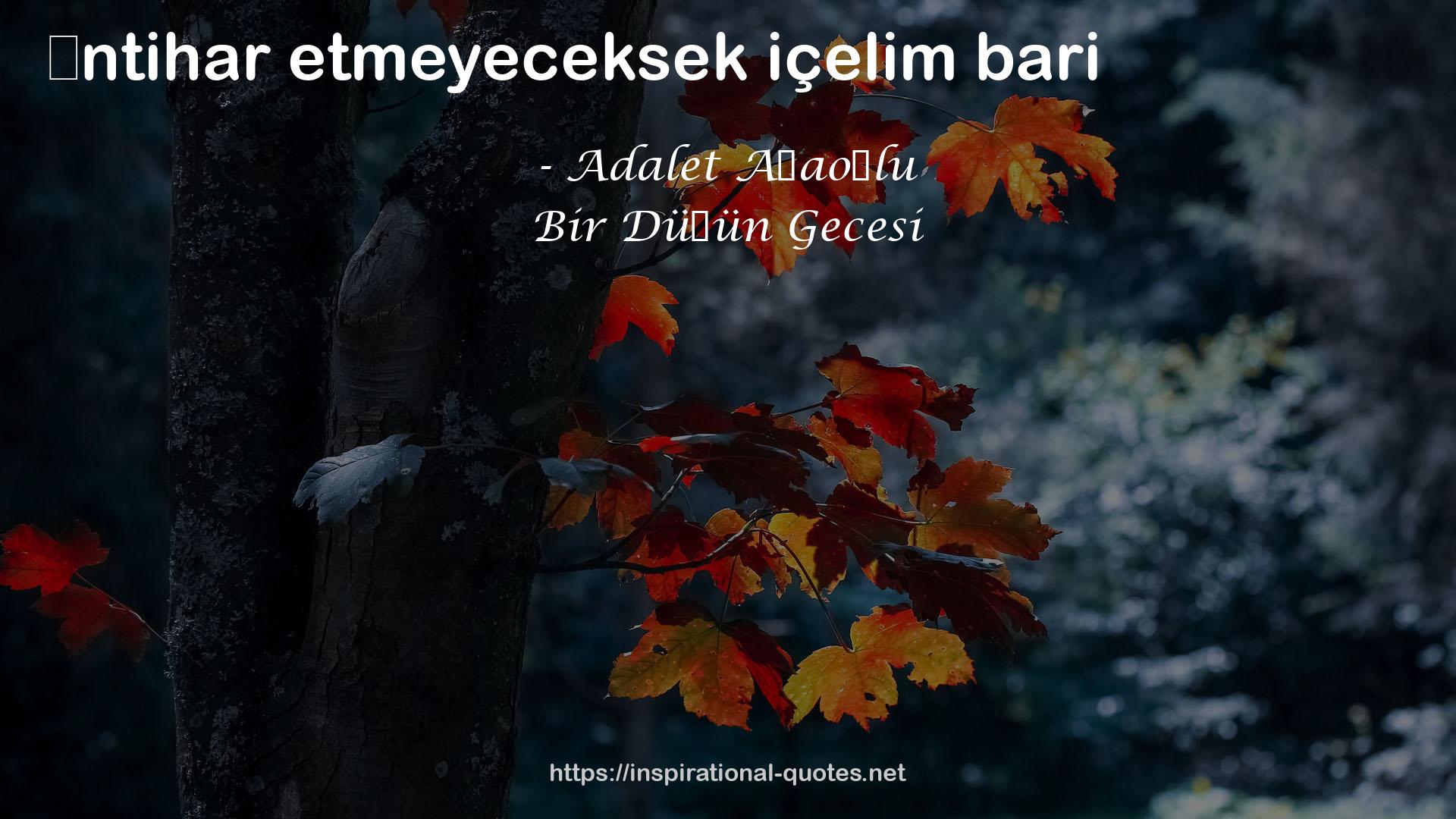 Bir Düğün Gecesi QUOTES