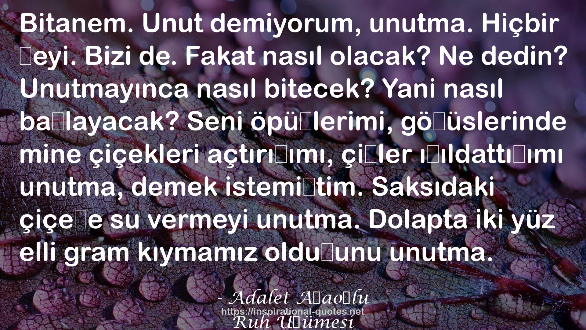 Ruh Üşümesi QUOTES