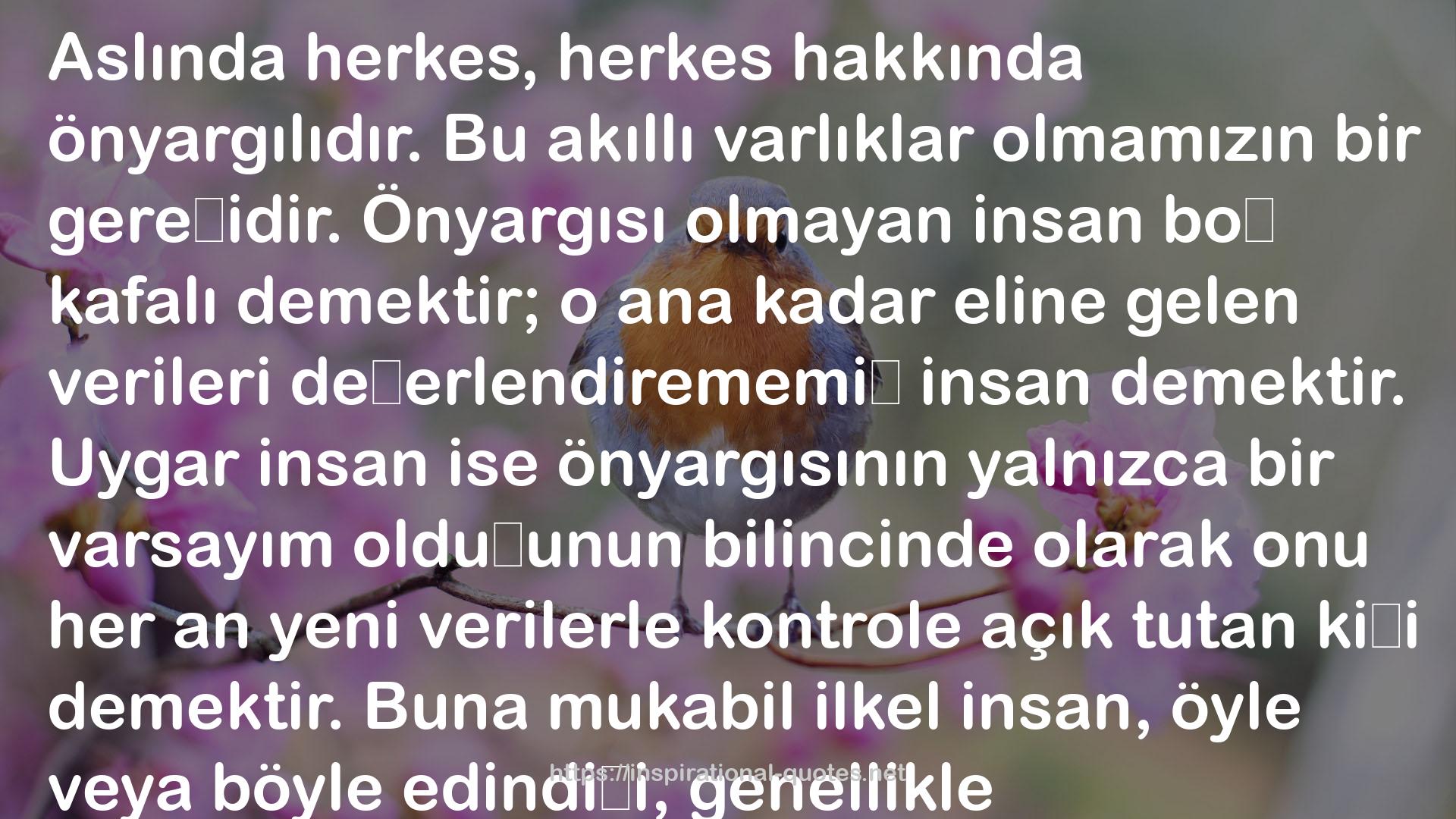 Aptalı Tanımak QUOTES