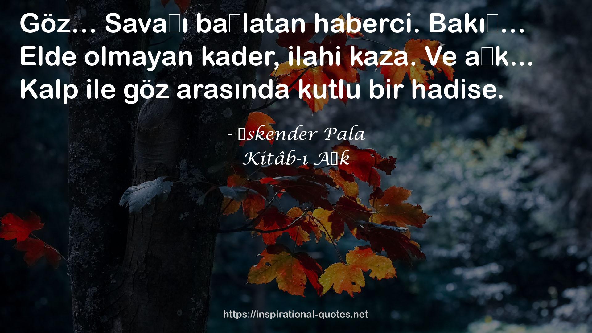 Kitâb-ı Aşk QUOTES