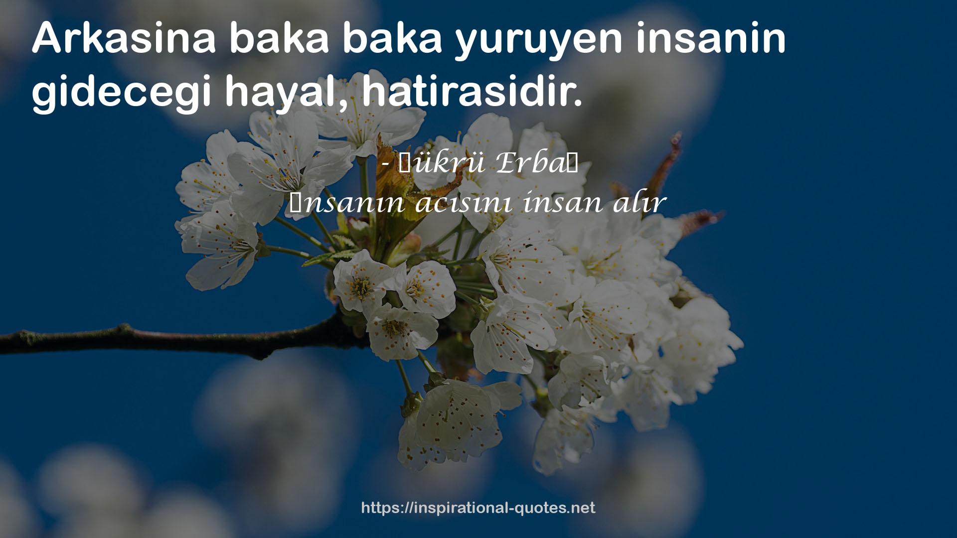 İnsanın acısını insan alır QUOTES