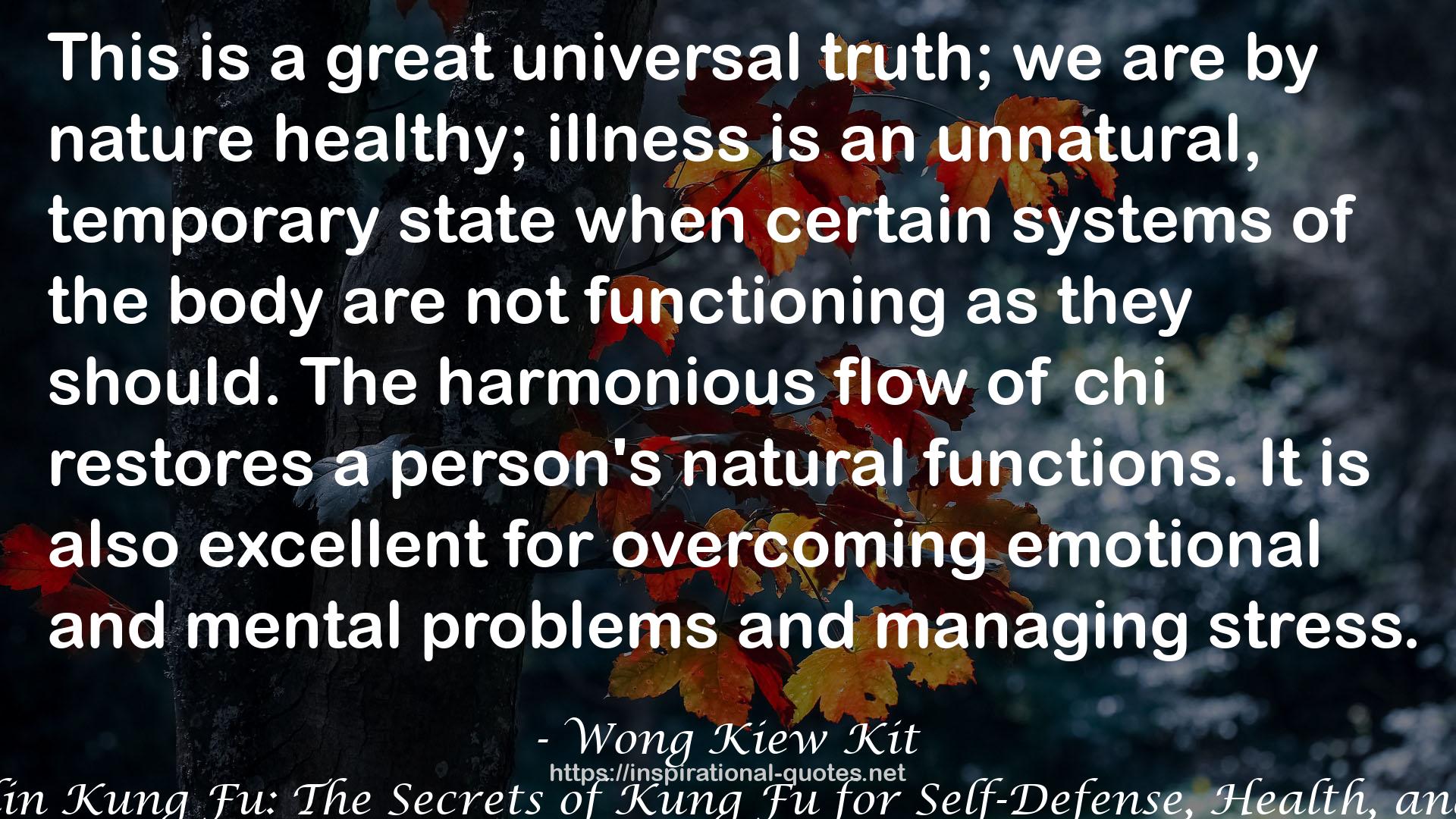 The Art of Shaolin Kung Fu: The Secrets of Kung Fu for Self-Defense, Health, and Enlightenment QUOTES