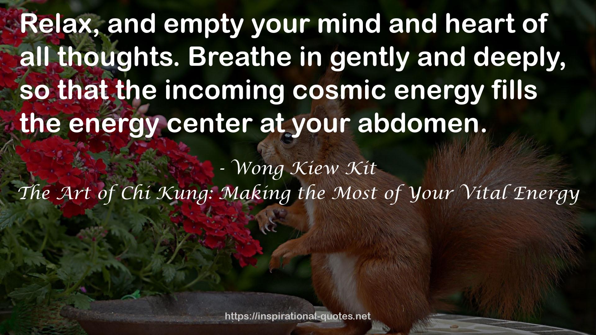 The Art of Chi Kung: Making the Most of Your Vital Energy QUOTES