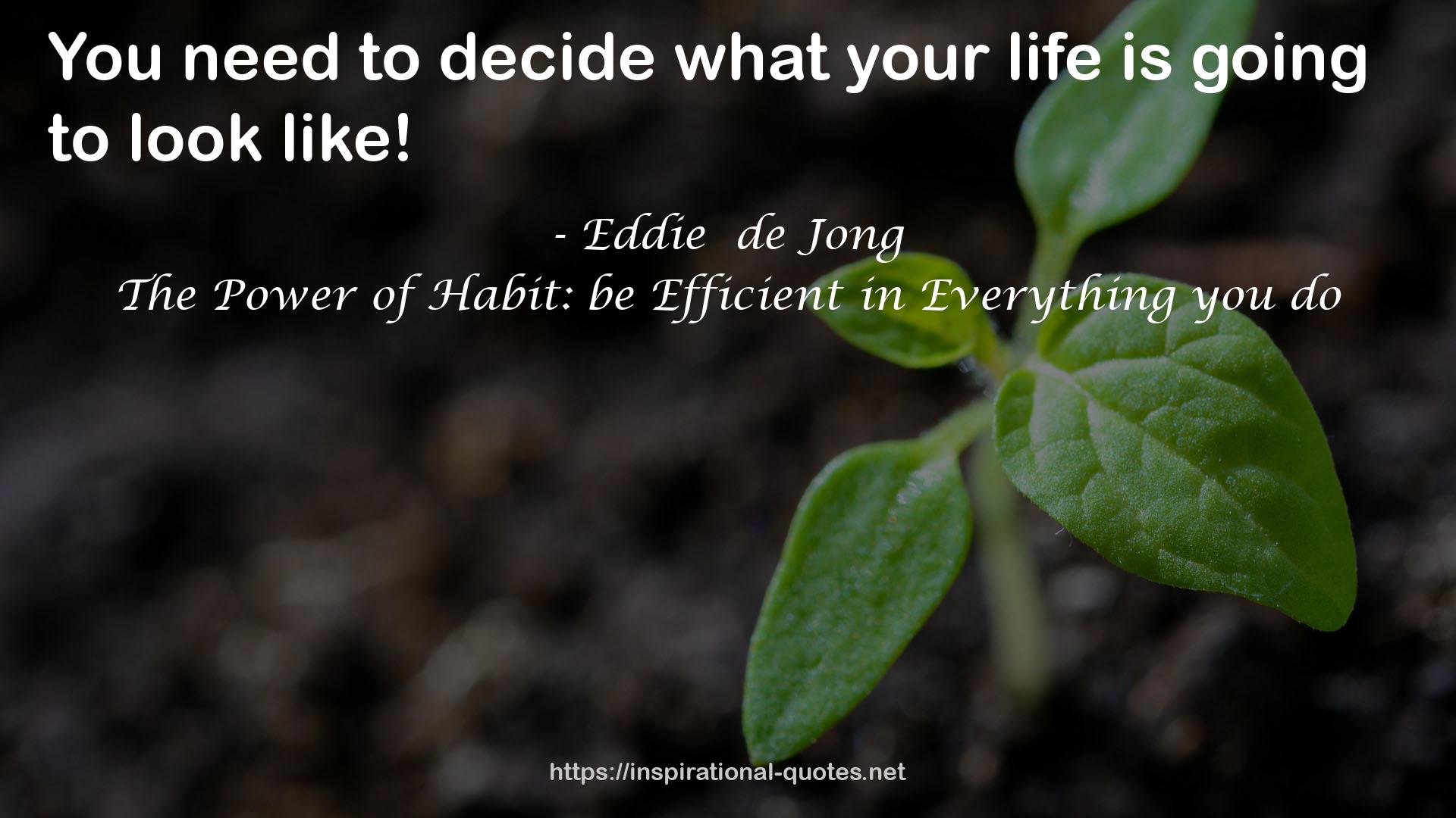 The Power of Habit: be Efficient in Everything you do QUOTES