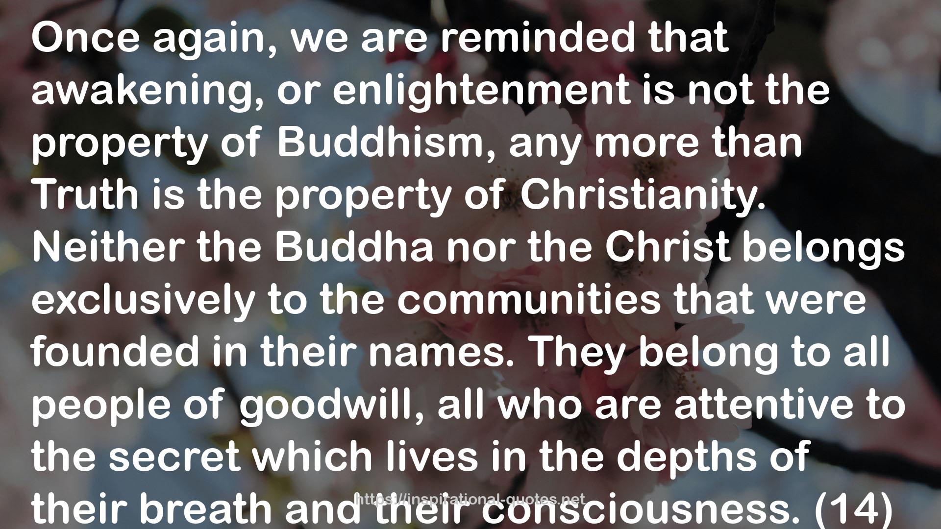 Compassion and Meditation: The Spiritual Dynamic between Buddhism and Christianity QUOTES