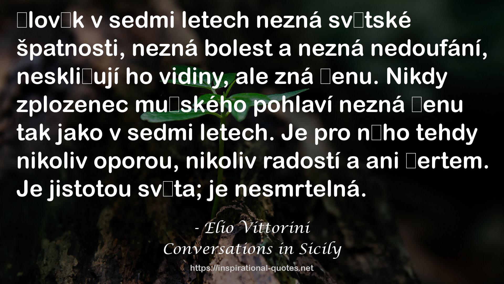 Conversations in Sicily QUOTES