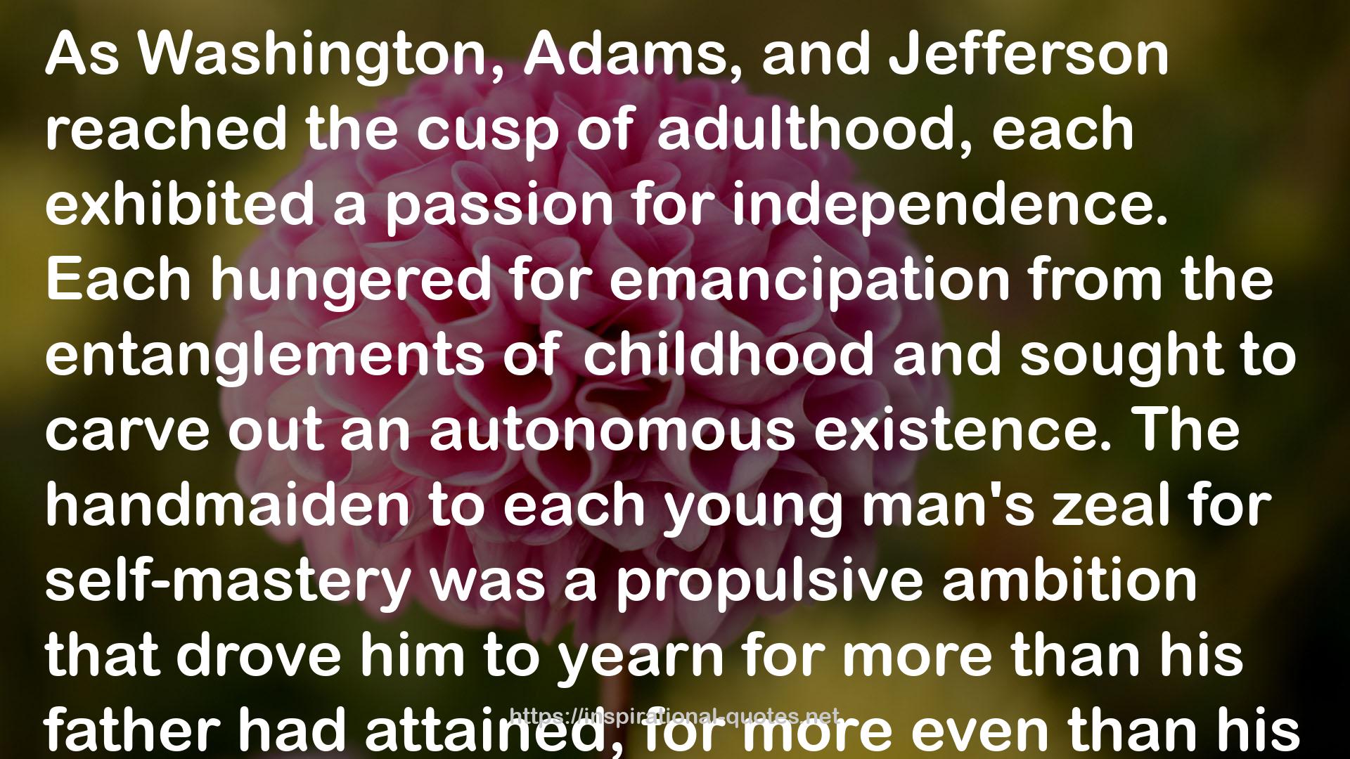 Setting the World Ablaze: Washington, Adams, Jefferson, and the American Revolution QUOTES