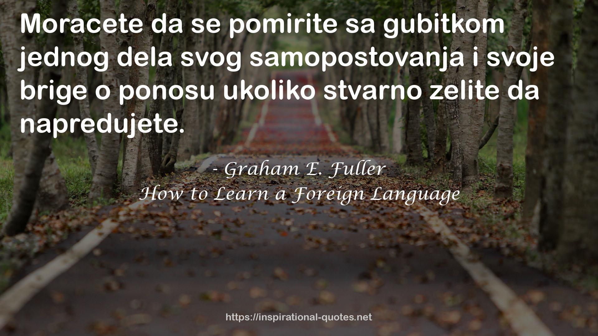 How to Learn a Foreign Language QUOTES