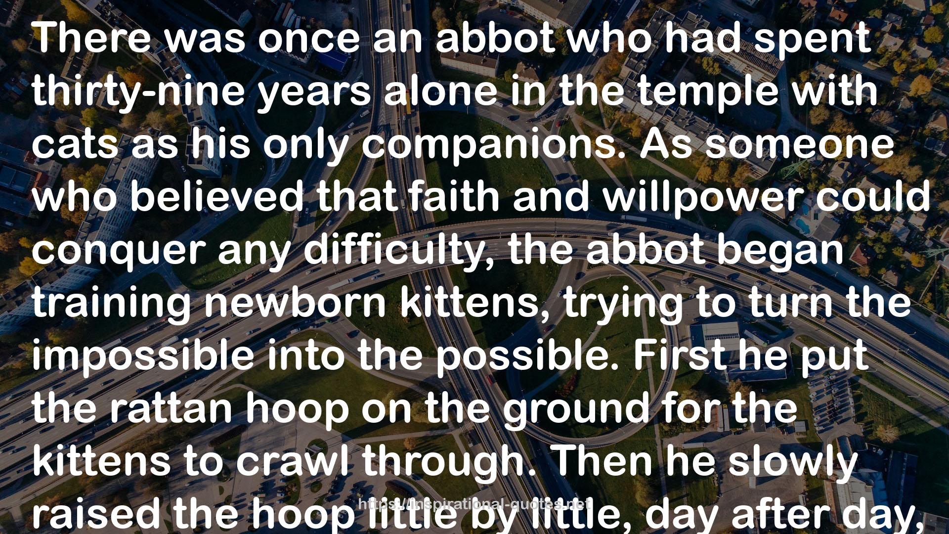 Teaching Cats to Jump Hoops QUOTES