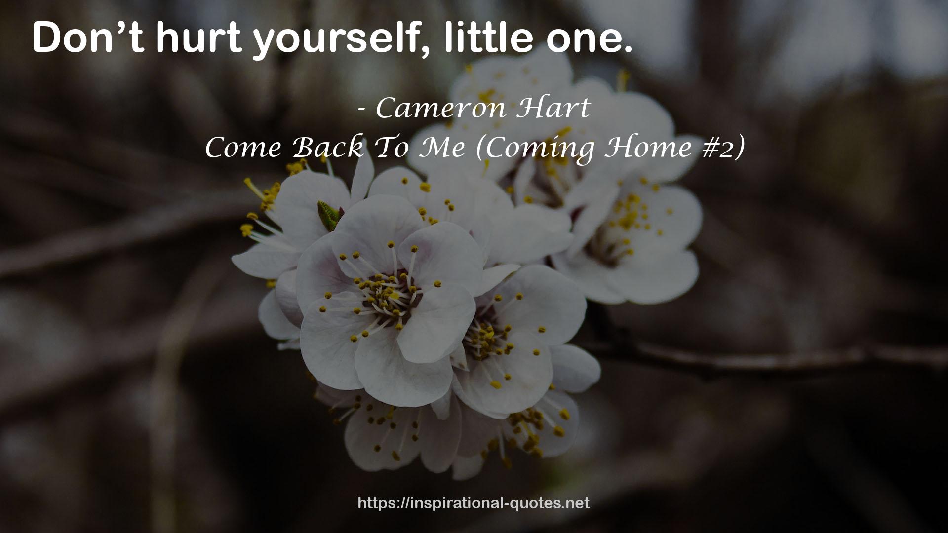 Come Back To Me (Coming Home #2) QUOTES
