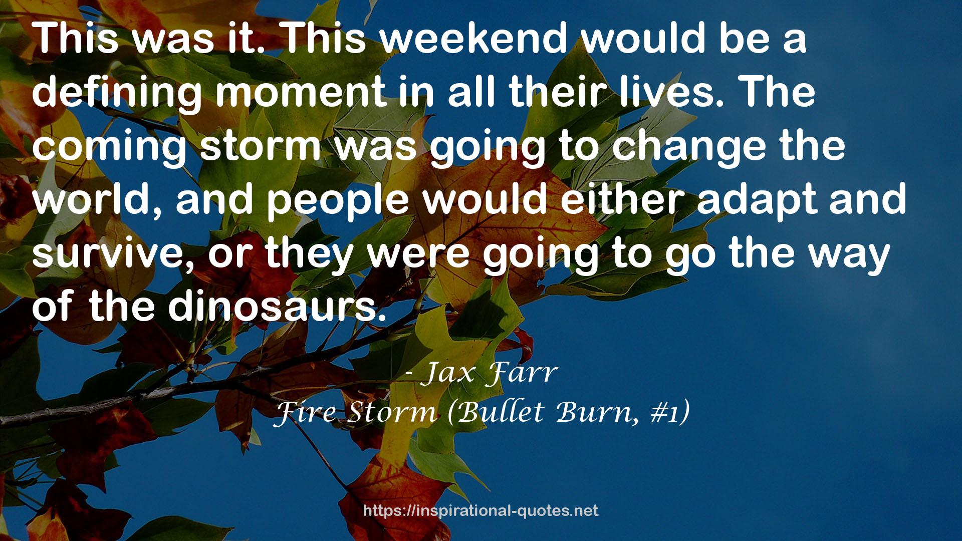 Fire Storm (Bullet Burn, #1) QUOTES