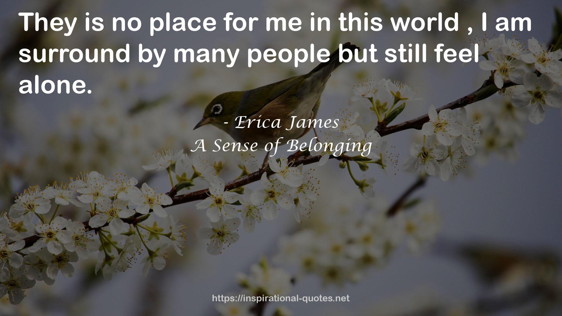 A Sense of Belonging QUOTES