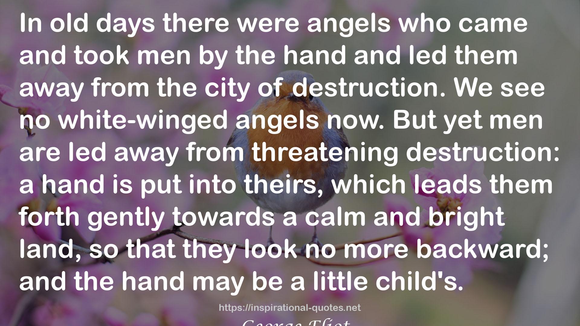 no white-winged angels  QUOTES