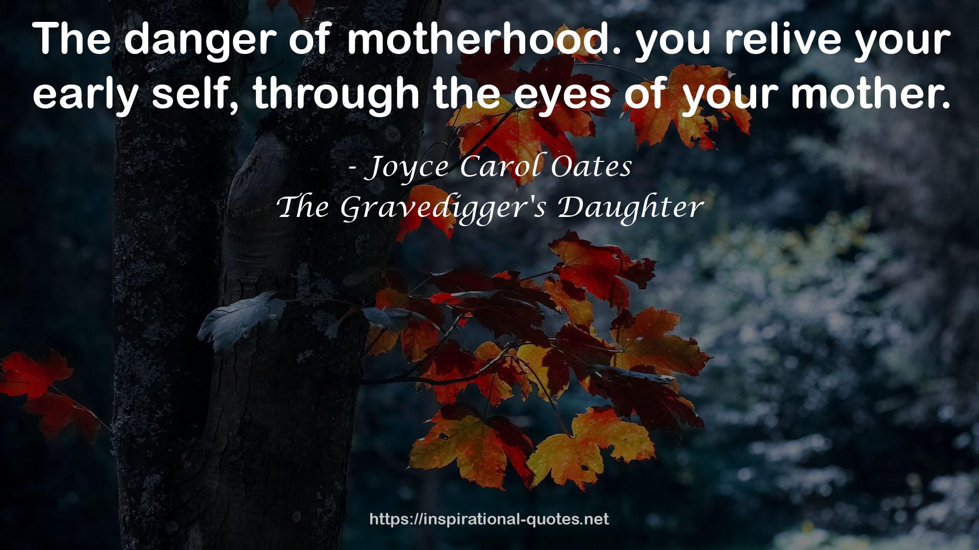 The Gravedigger's Daughter QUOTES