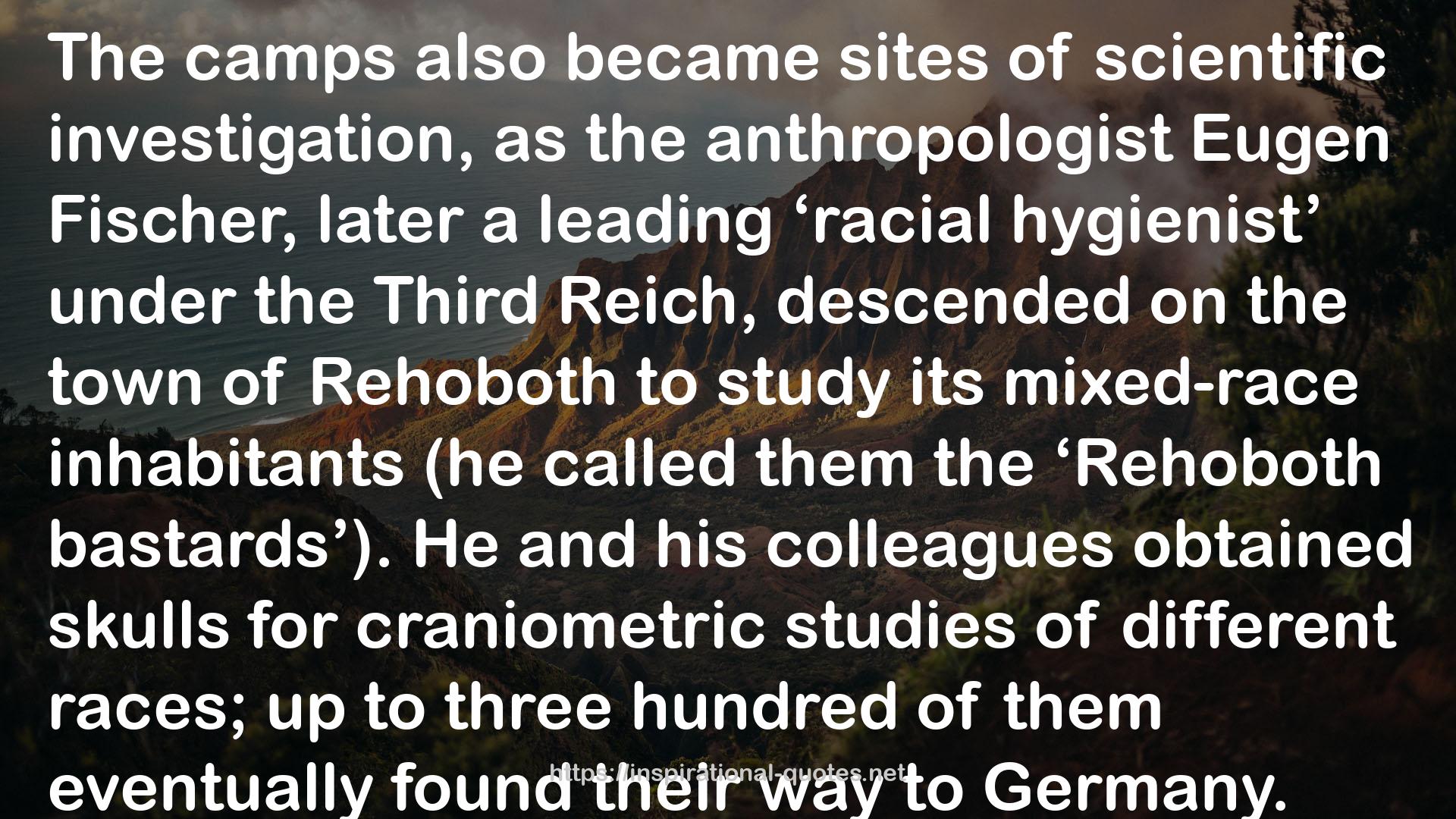 The Third Reich in History and Memory QUOTES