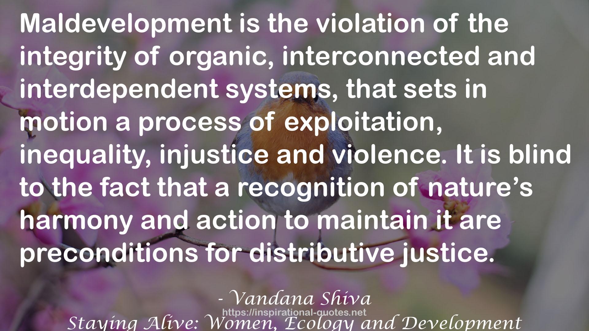 Staying Alive: Women, Ecology and Development QUOTES