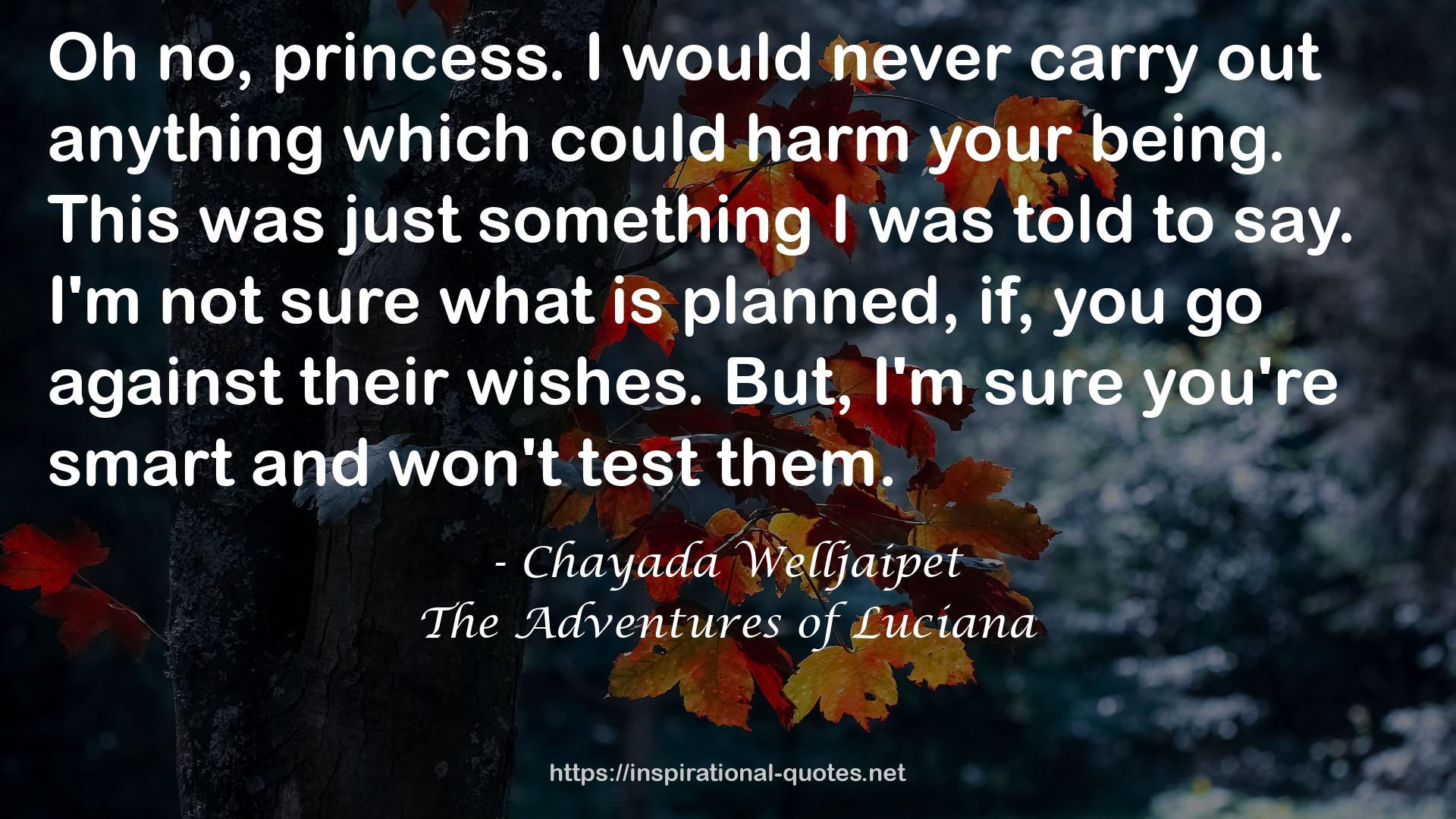 The Adventures of Luciana QUOTES