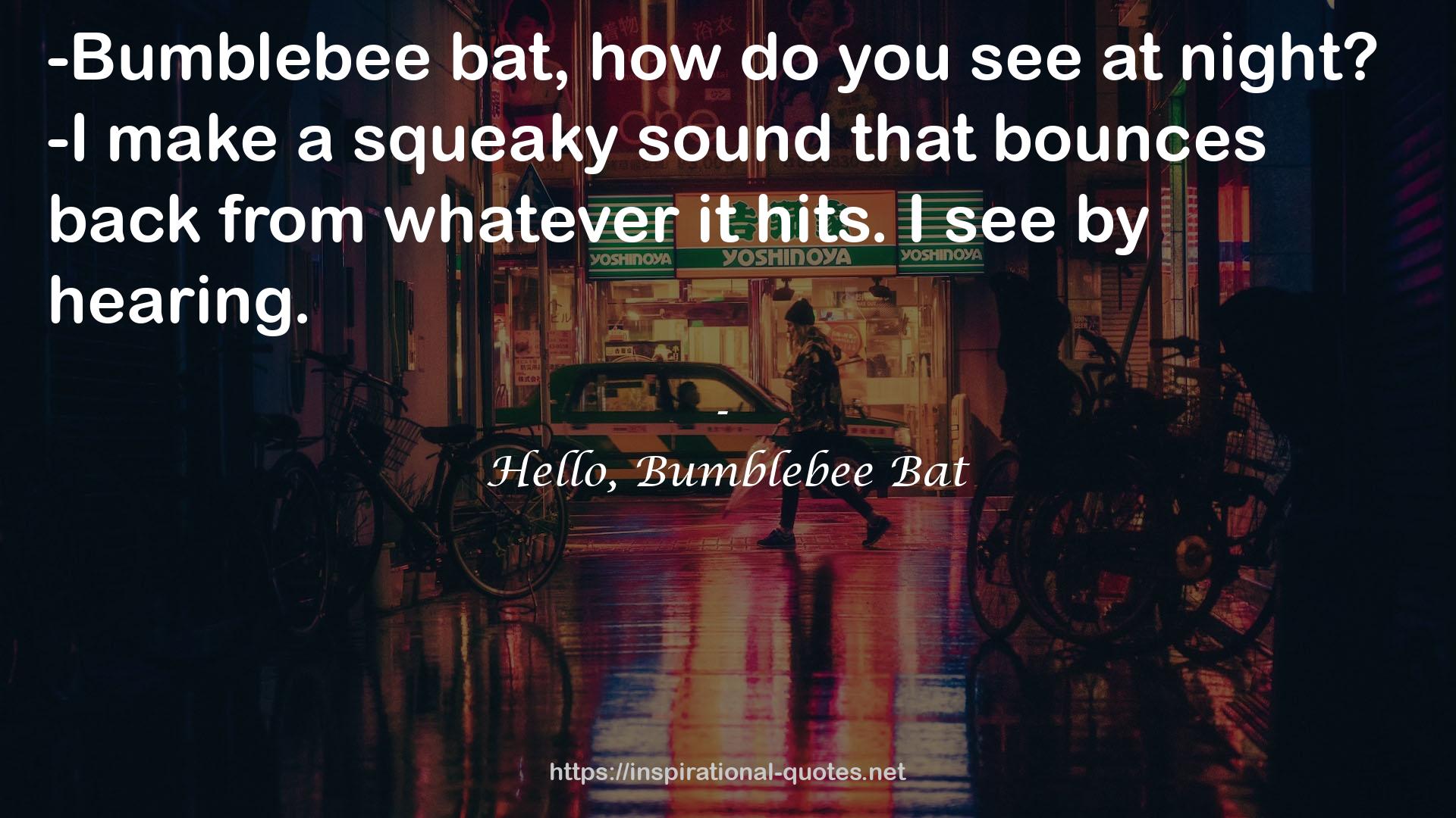 Hello, Bumblebee Bat QUOTES